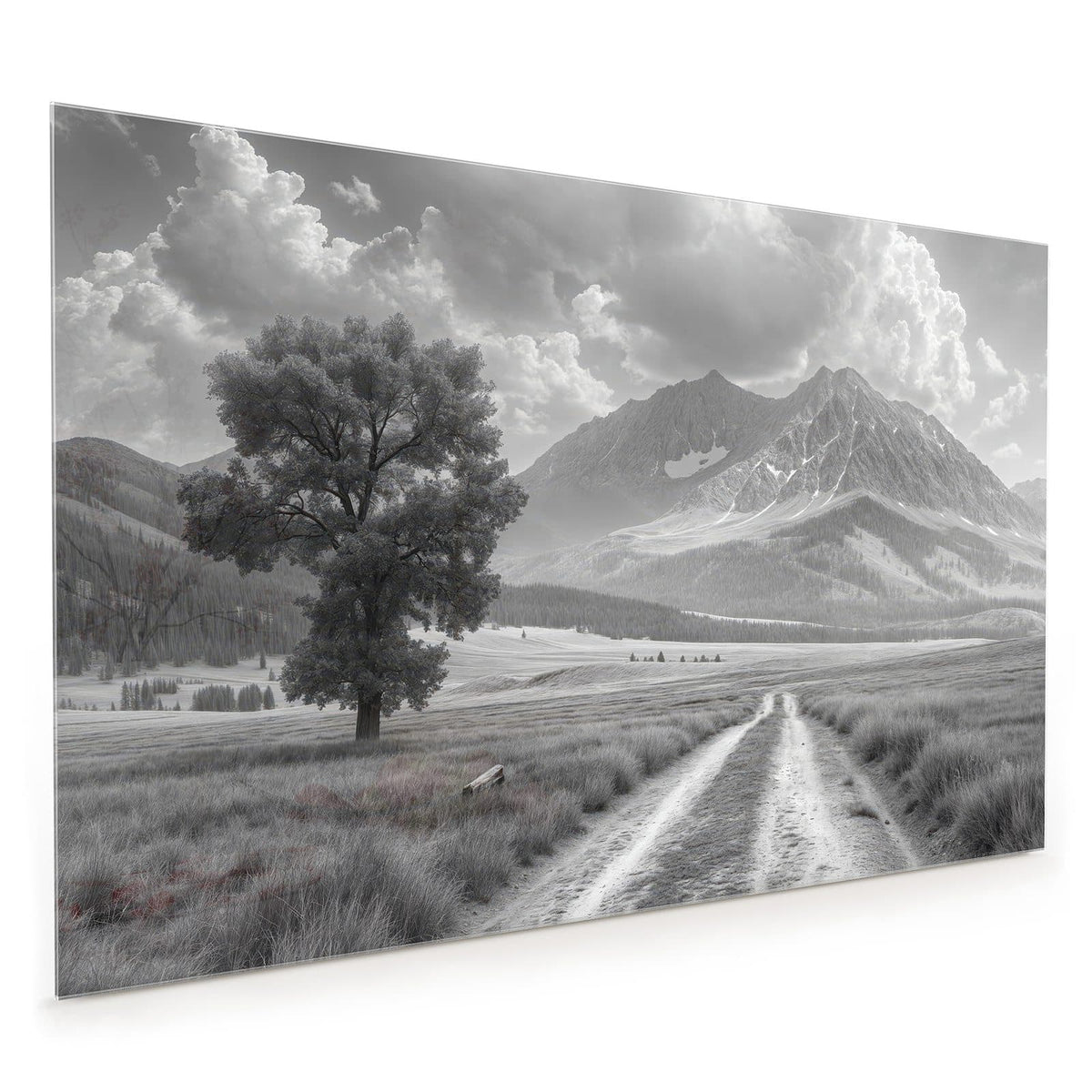 Küchenrückwand aus Glas im Hochformat mit Motiv Einsamer Baum vor Bergen: Schwarzweißfoto: einzelner Baum links an einem Feldweg