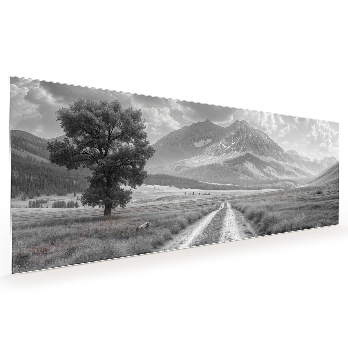 Küchenrückwand aus Glas im Hochformat mit Motiv Einsamer Baum vor Bergen: Schwarzweißfoto: einzelner Baum links an einem Feldweg #grösse_40 x 100 cm #grösse_50 x 125 cm #grösse_60 x 150 cm