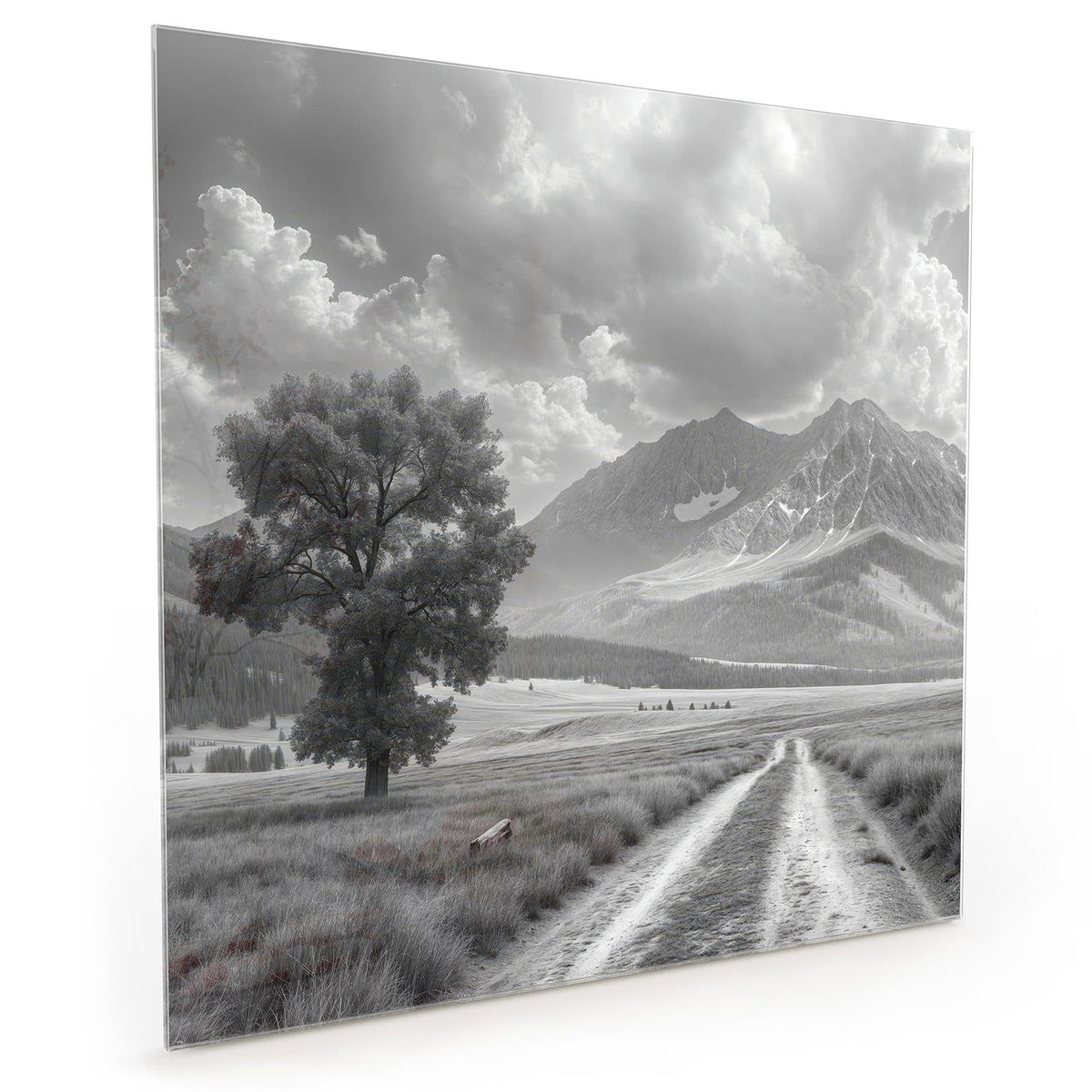 Küchenrückwand aus Glas im quadratischen Format mit Motiv Einsamer Baum vor Bergen: Schwarzweißfoto: einzelner Baum links an einem Feldweg #grösse_40 x 40 cm #grösse_50 x 50 cm #grösse_60 x 60 cm