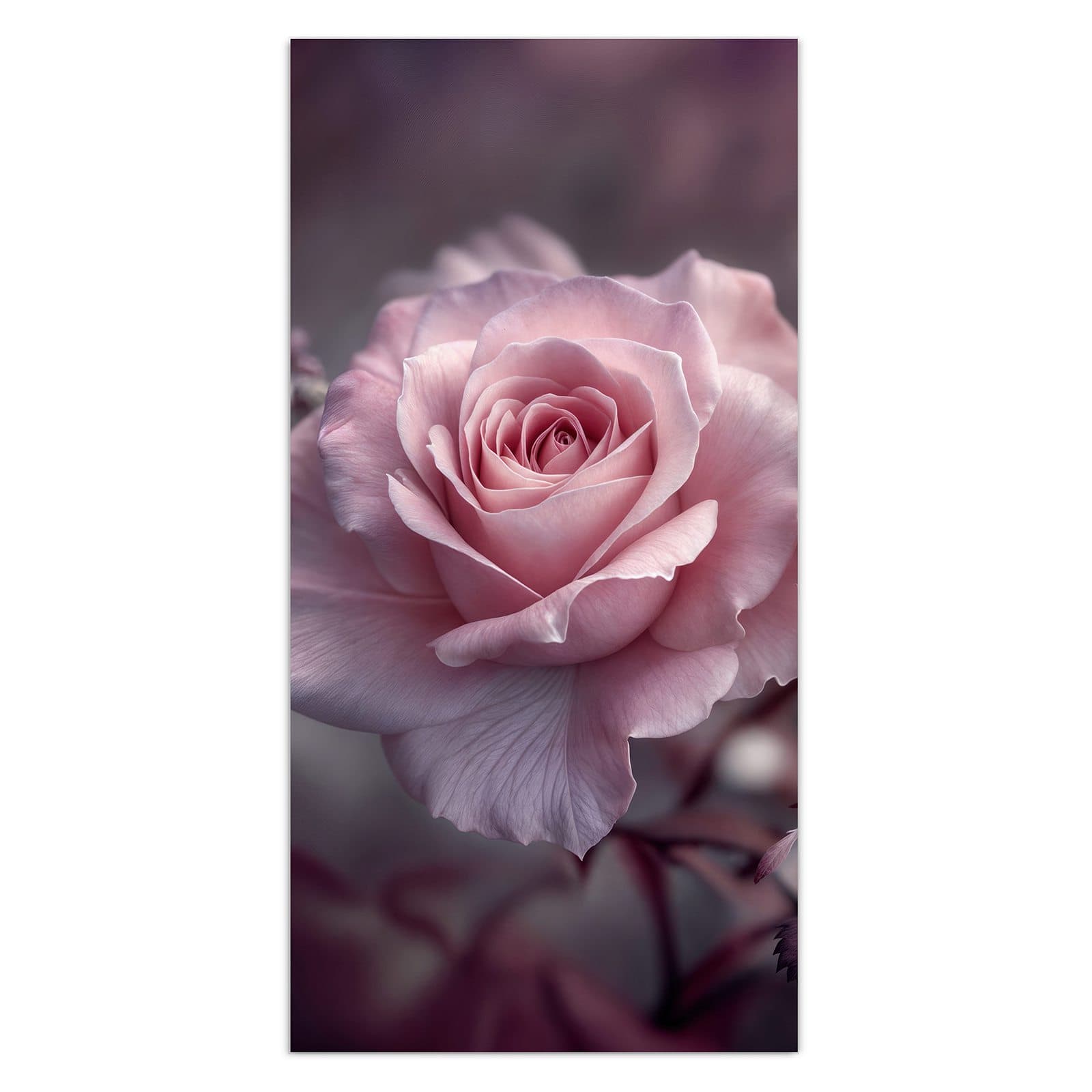 #grösse_30 x 60 cm #grösse_40 x 80 cm #grösse_50 x 100 cm #grösse_55 x 110 cm #grösse_60 x 120 cm