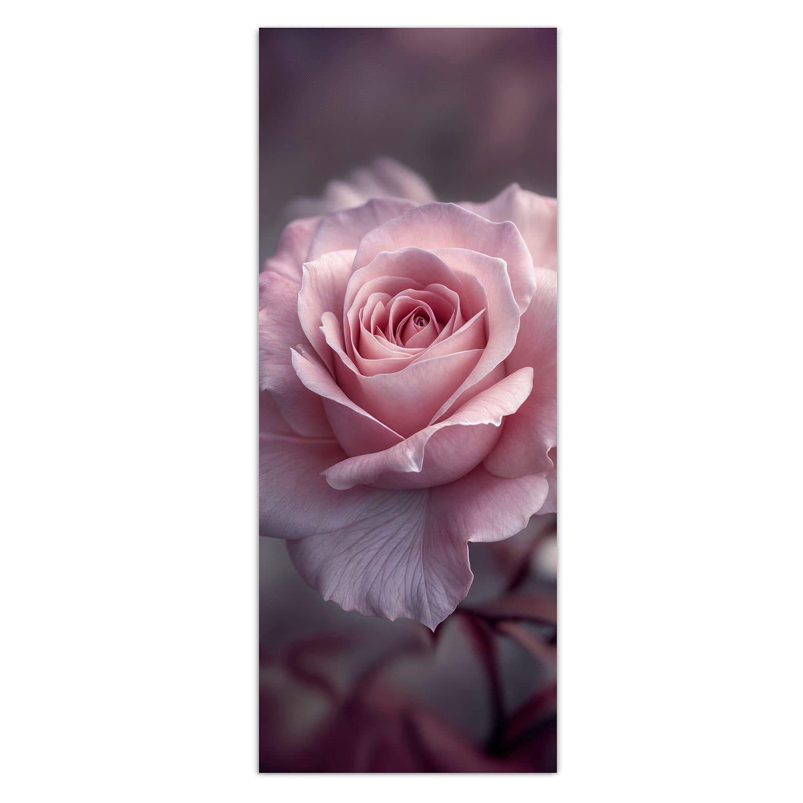 #grösse_50 x 125 cm #grösse_40 x 100 cm #grösse_60 x 150 cm