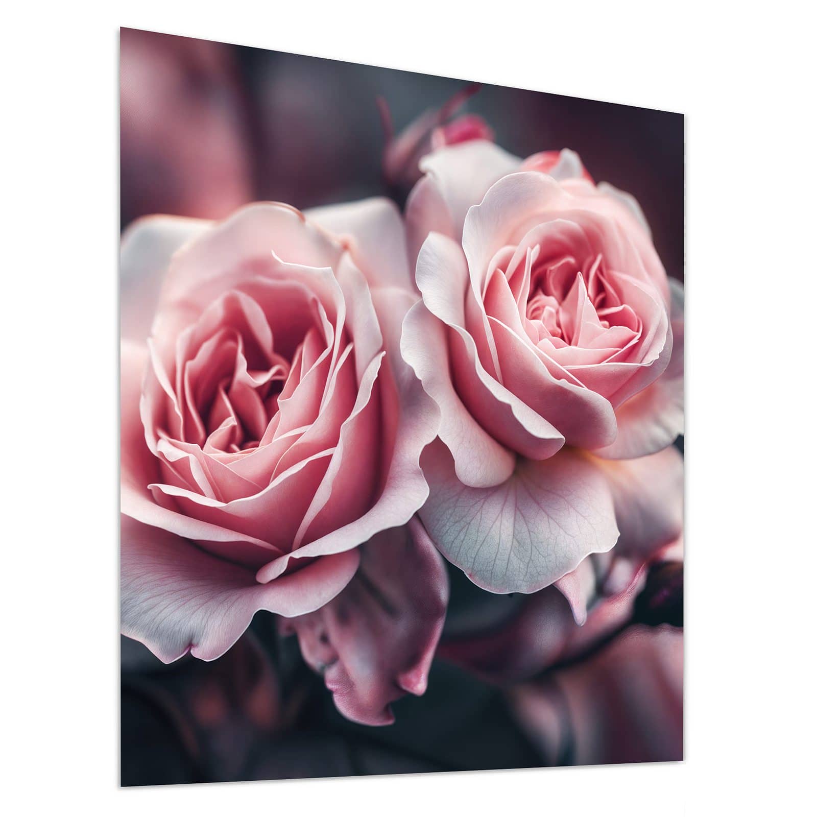 #grösse_90 x 100 cm