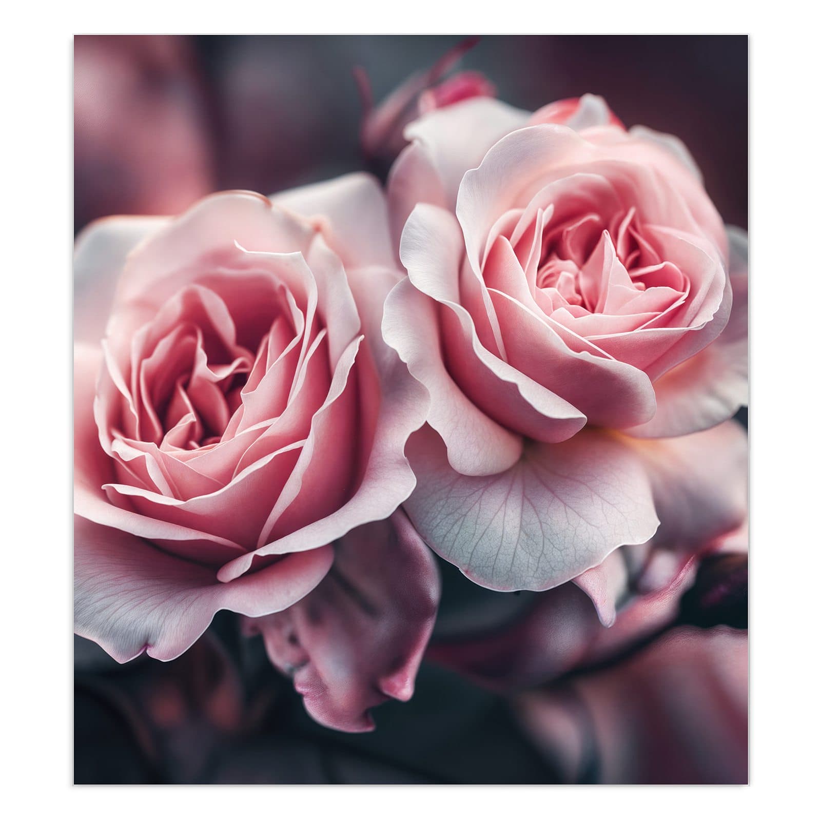 #grösse_90 x 100 cm