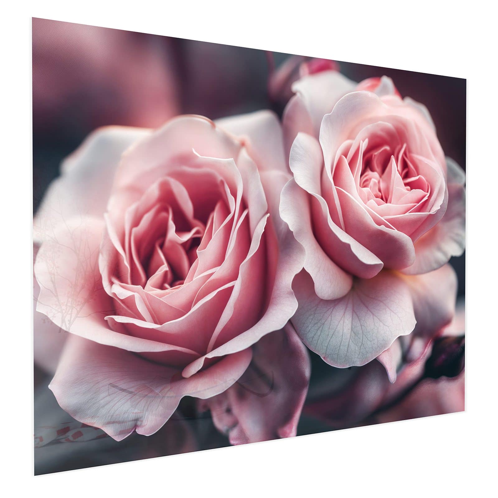 #grösse_75 x 60 cm #grösse_100 x 80 cm