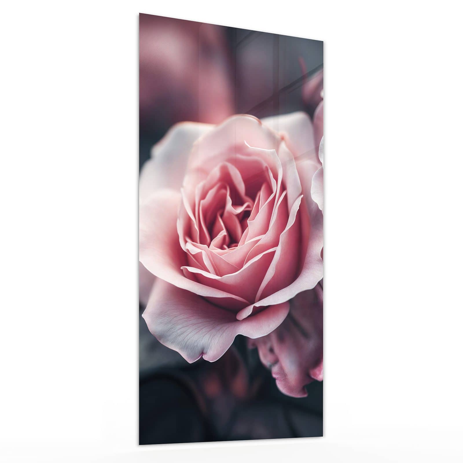 #grösse_30 x 60 cm #grösse_40 x 80 cm #grösse_50 x 100 cm #grösse_55 x 110 cm #grösse_60 x 120 cm