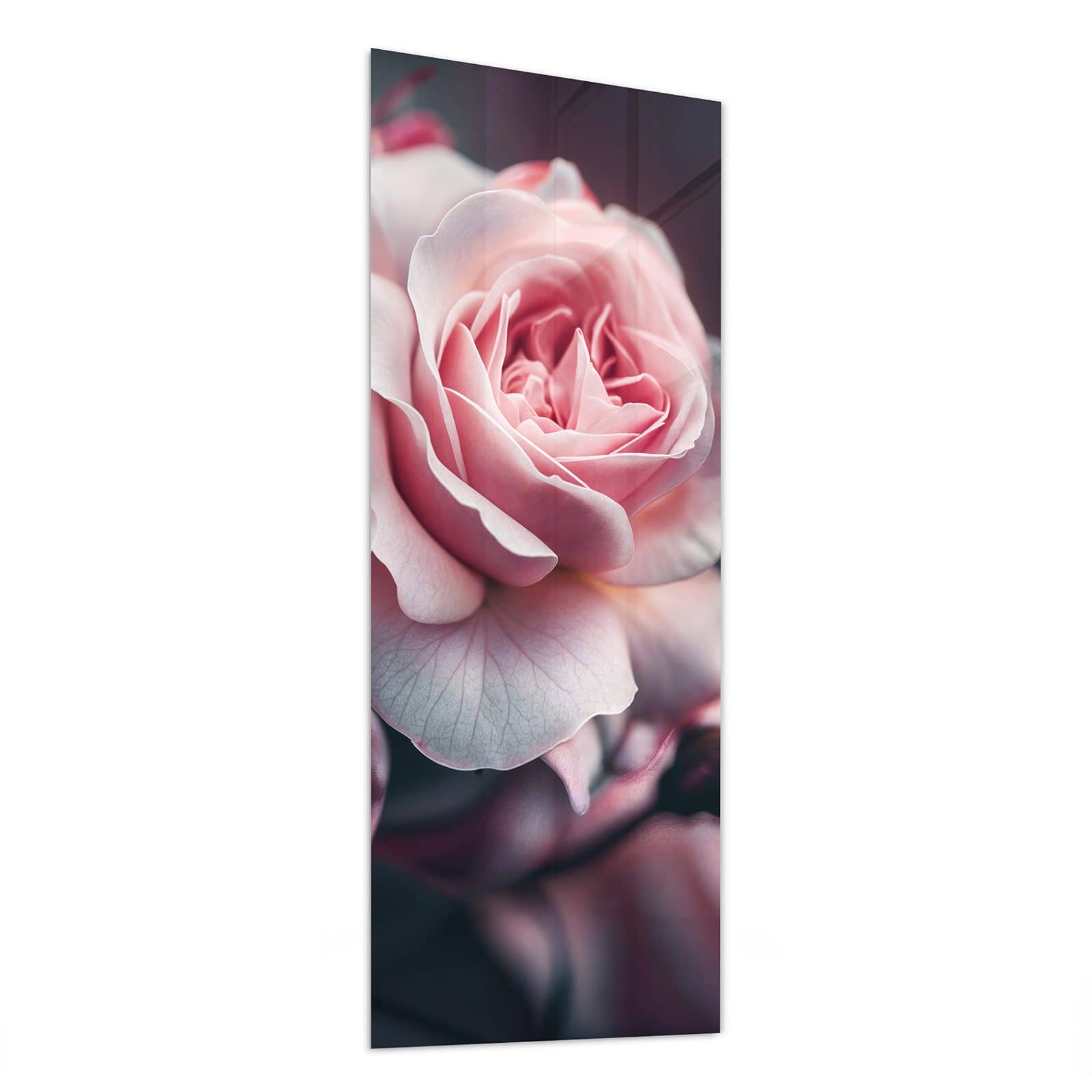 #grösse_50 x 125 cm #grösse_40 x 100 cm #grösse_60 x 150 cm