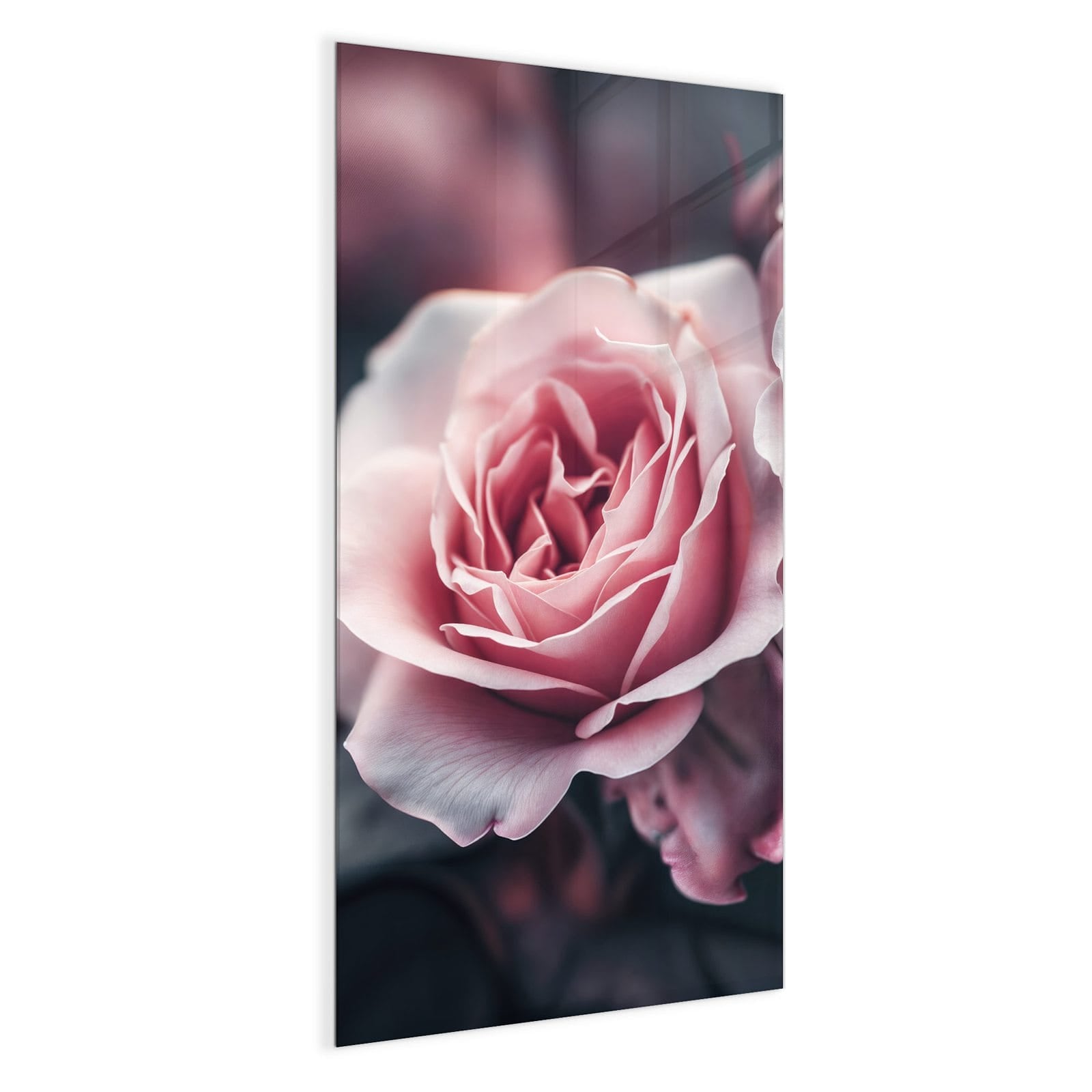 #grösse_50 x 100 cm