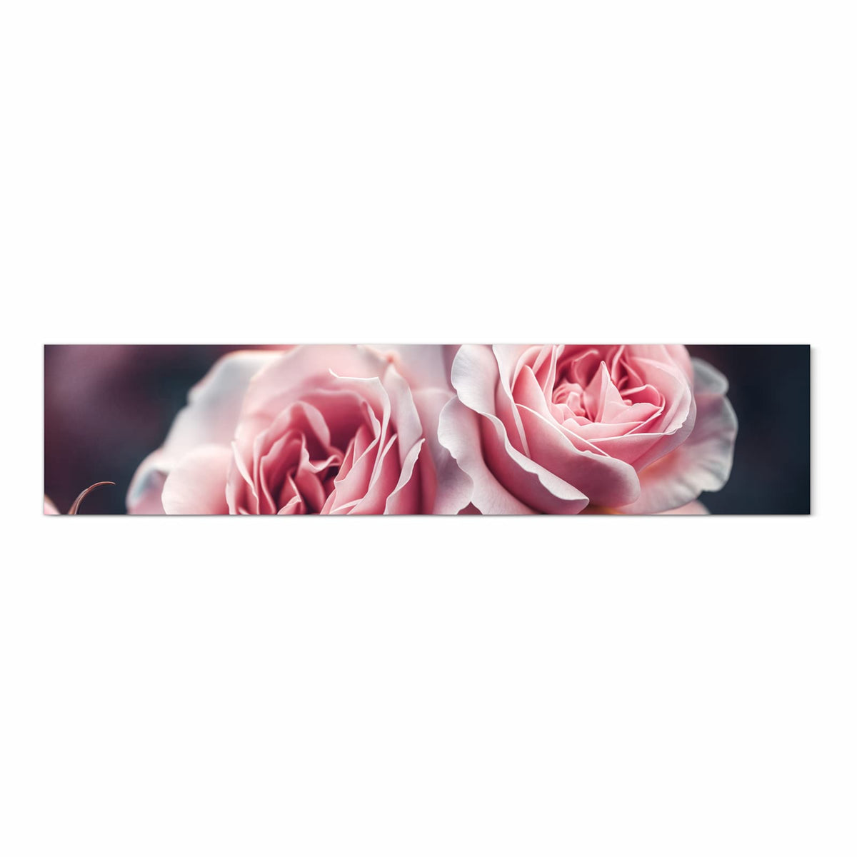 Küchenteppich mit Motiv Rosenblüten Duo in Frontansicht für Ordnung & Übersicht