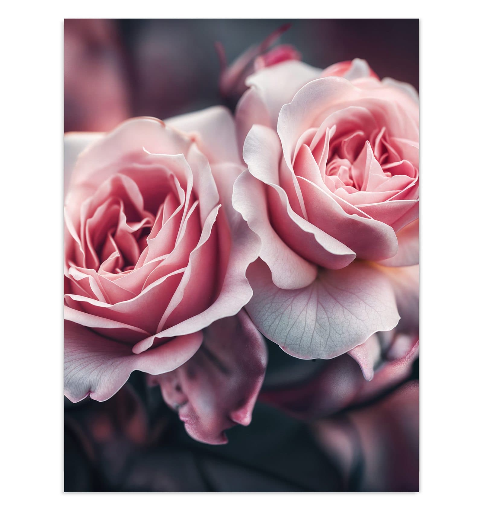 #grösse_30 x 40 cm #grösse_60 x 80 cm #grösse_75 x 100 cm