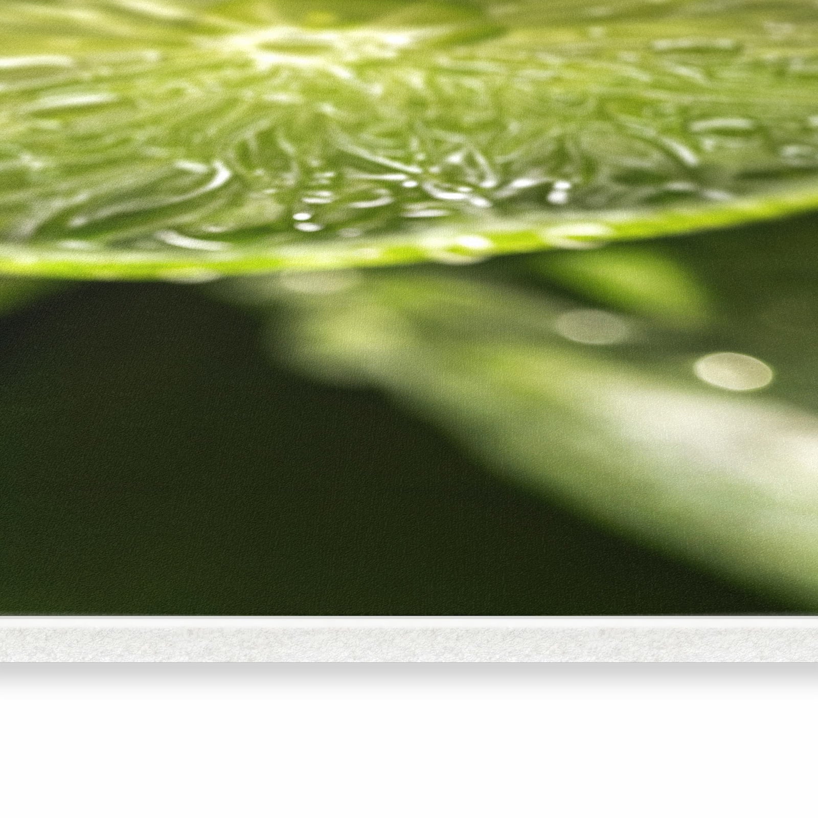 Bodenschonender rutschfester Küchenläufer mit Motiv Limetten von Frische in seitlicher Ansicht