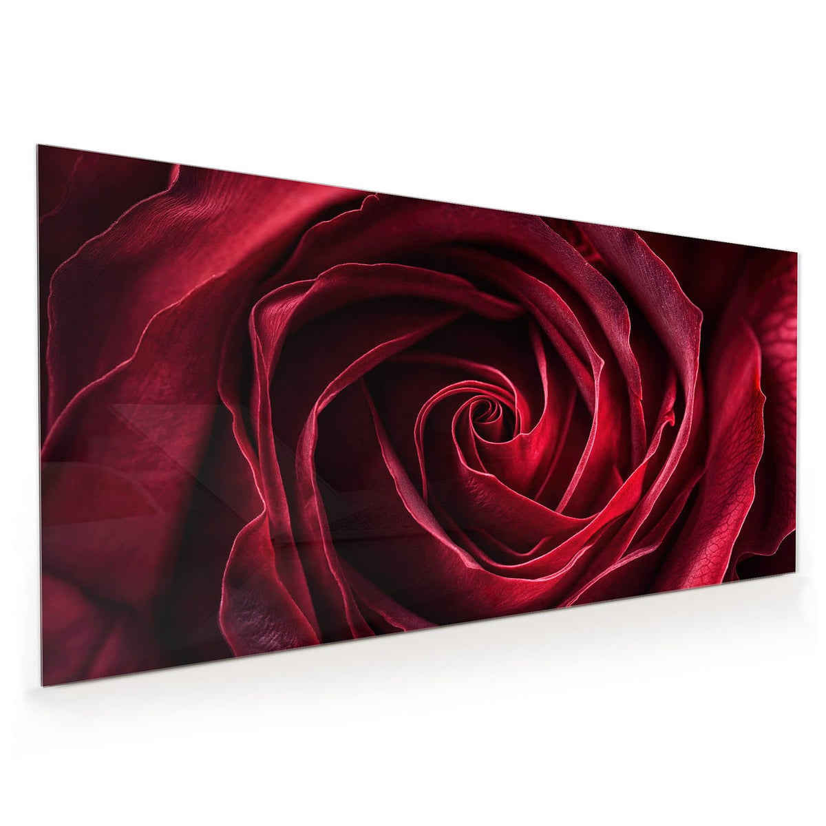 Küchenrückwand aus Glas im Hochformat: Tiefrote Rosenblüte formatfüllend, die Blätter drehen sich spiralig zur Mitte.