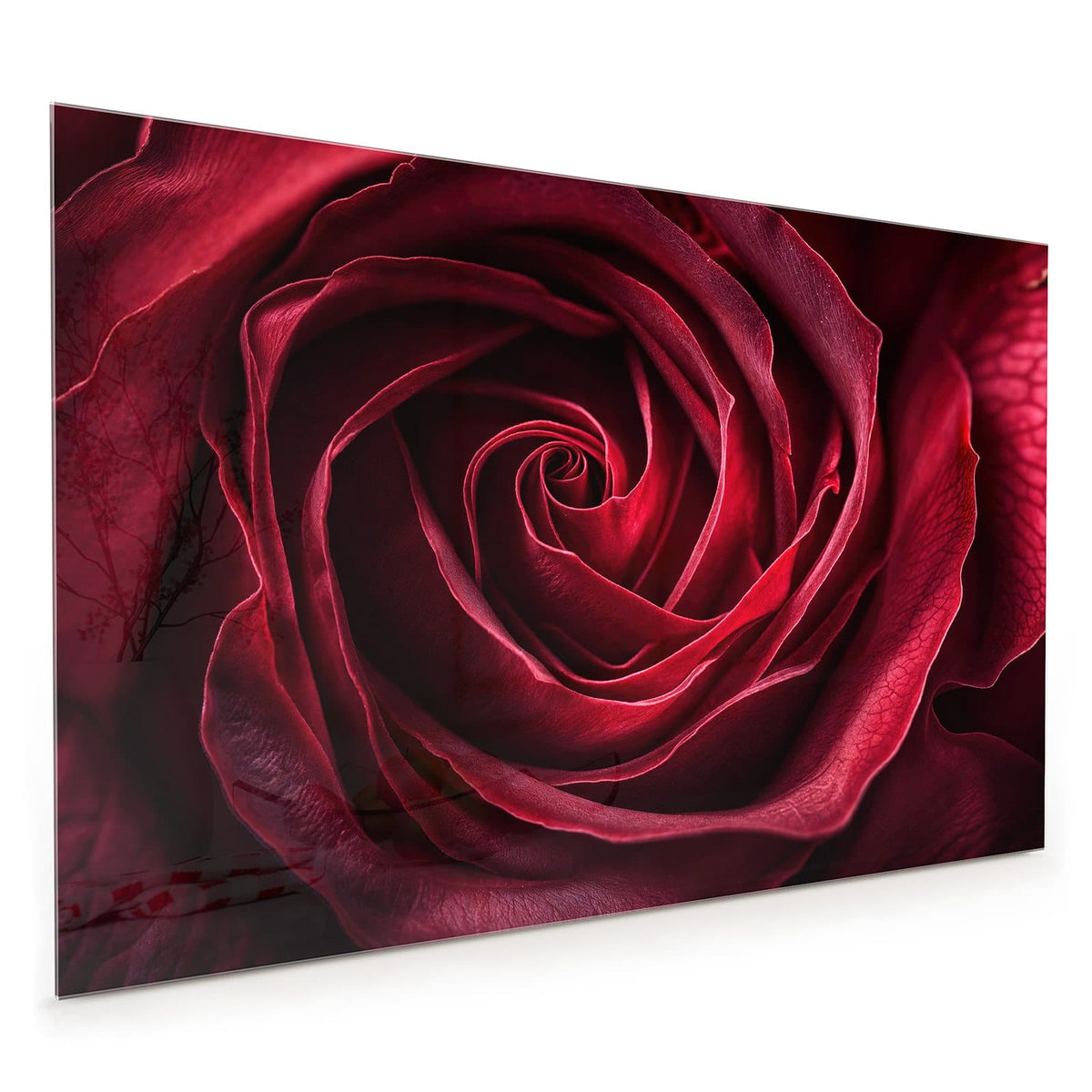 Küchenrückwand aus Glas im Hochformat: Tiefrote Rosenblüte formatfüllend, die Blätter drehen sich spiralig zur Mitte.