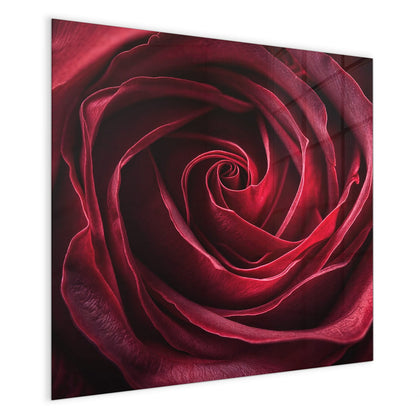 Magnettafel mit dem Motiv Tiefrote Rosenblüte