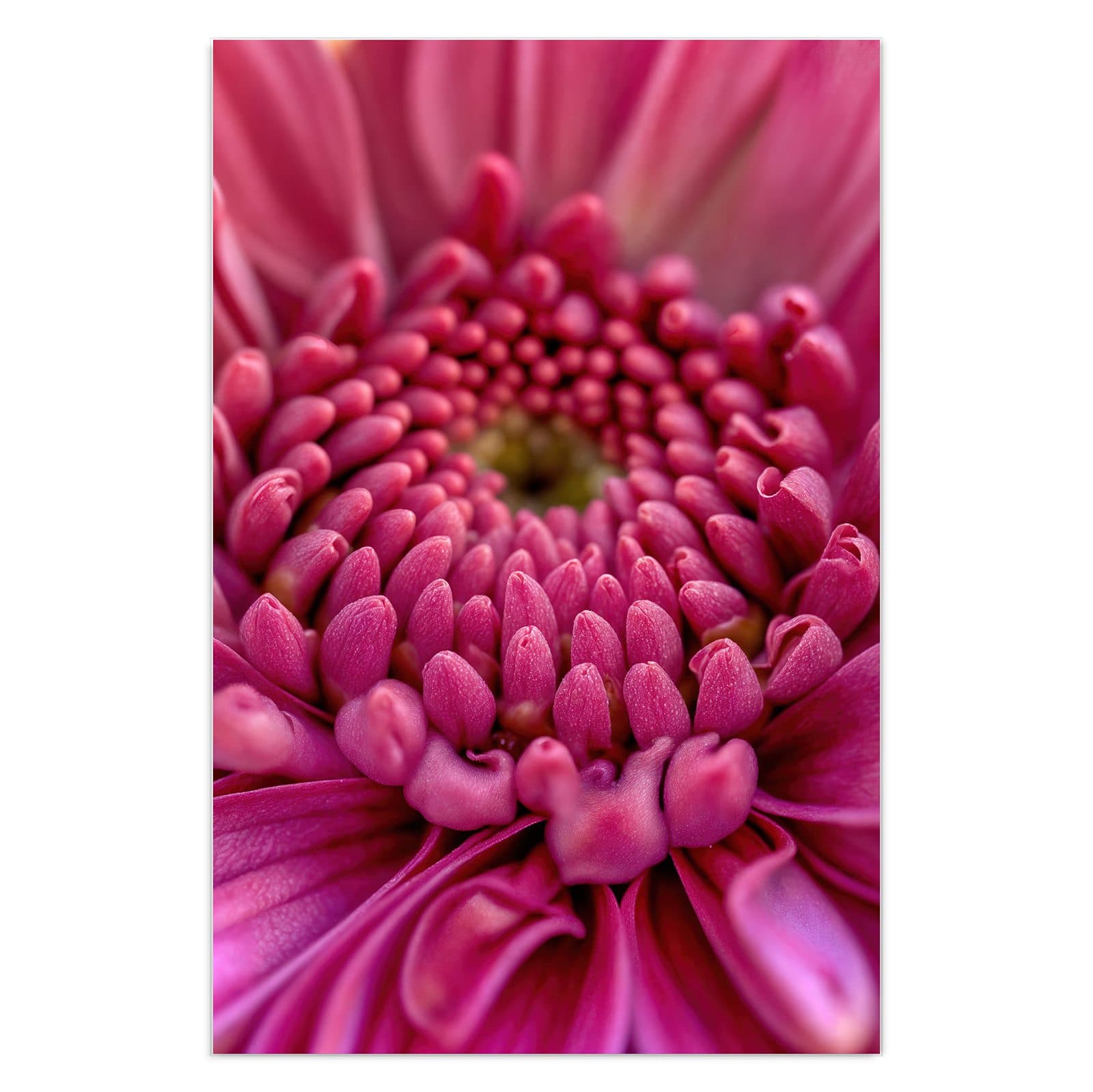 #grösse_40 x 60 cm #grösse_50 x 75 cm #grösse_60 x 90 cm