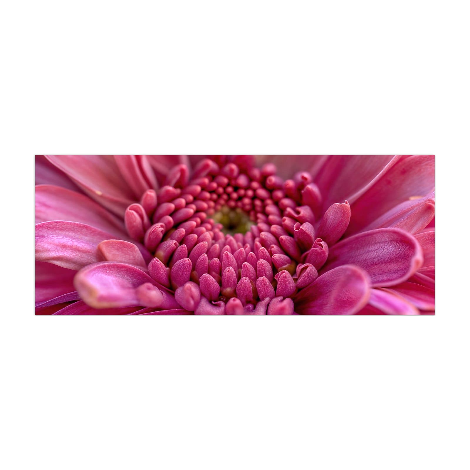 #grösse_40 x 100 cm #grösse_50 x 125 cm #grösse_60 x 150 cm