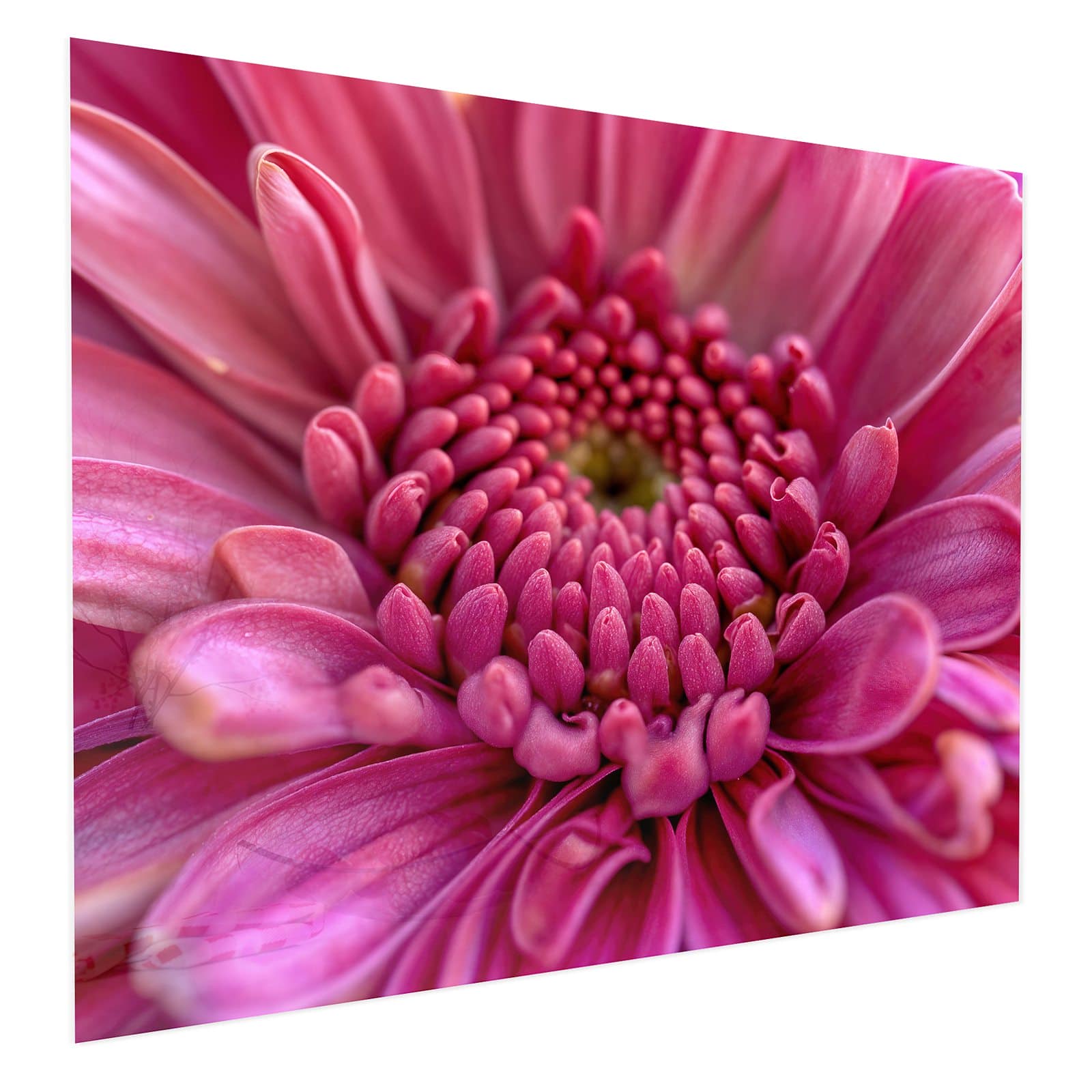 #grösse_75 x 60 cm #grösse_100 x 80 cm