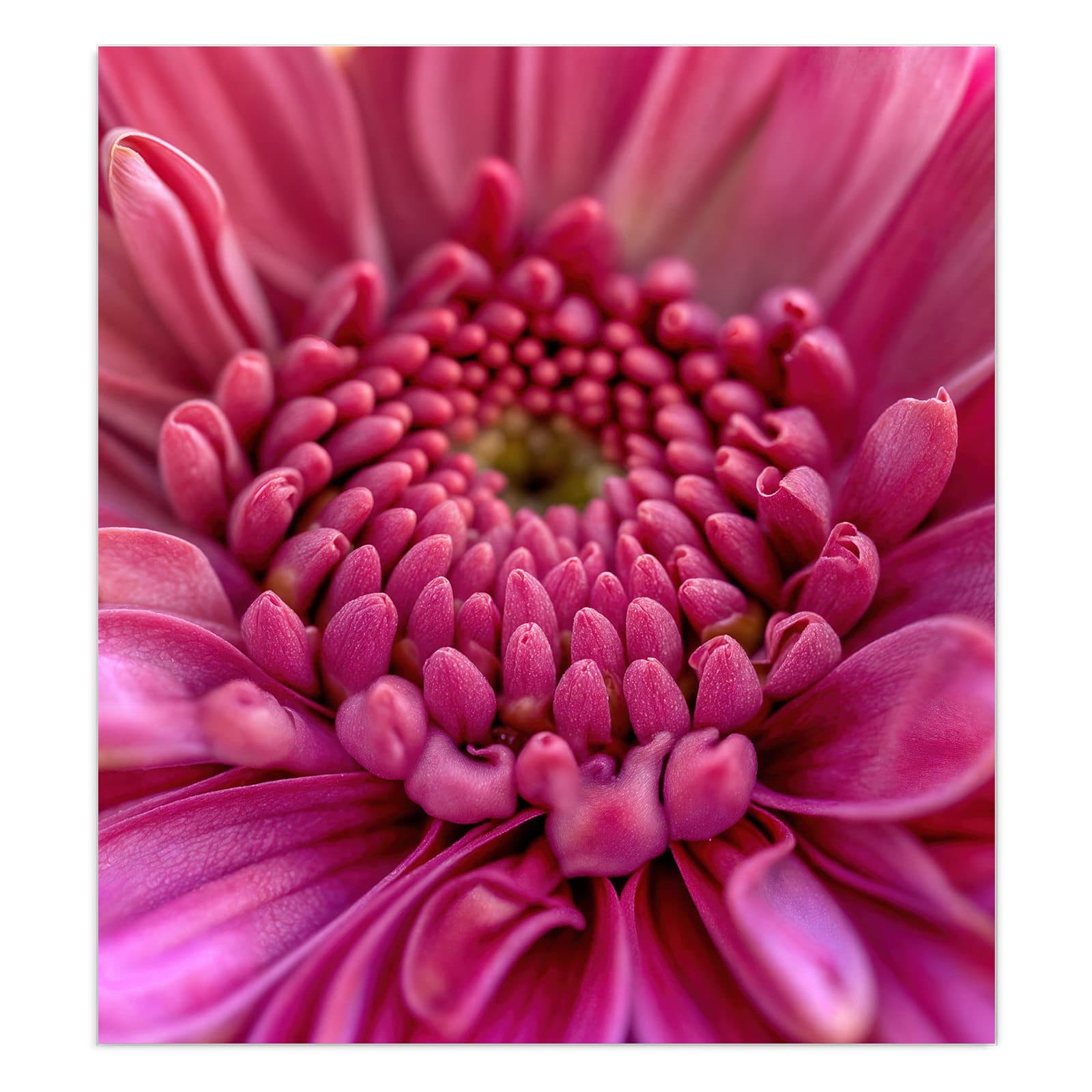 #grösse_90 x 100 cm