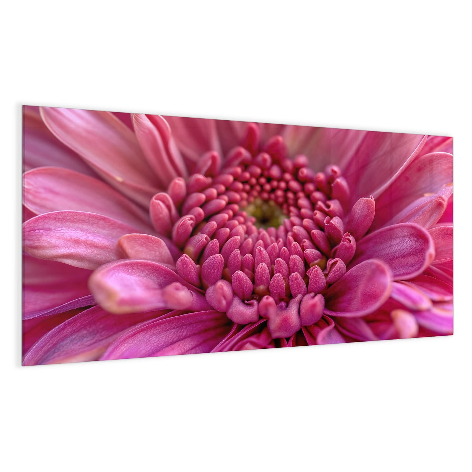 #grösse_100 x 50 cm