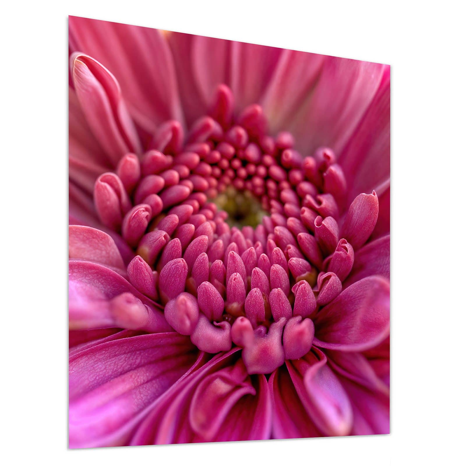 #grösse_90 x 100 cm