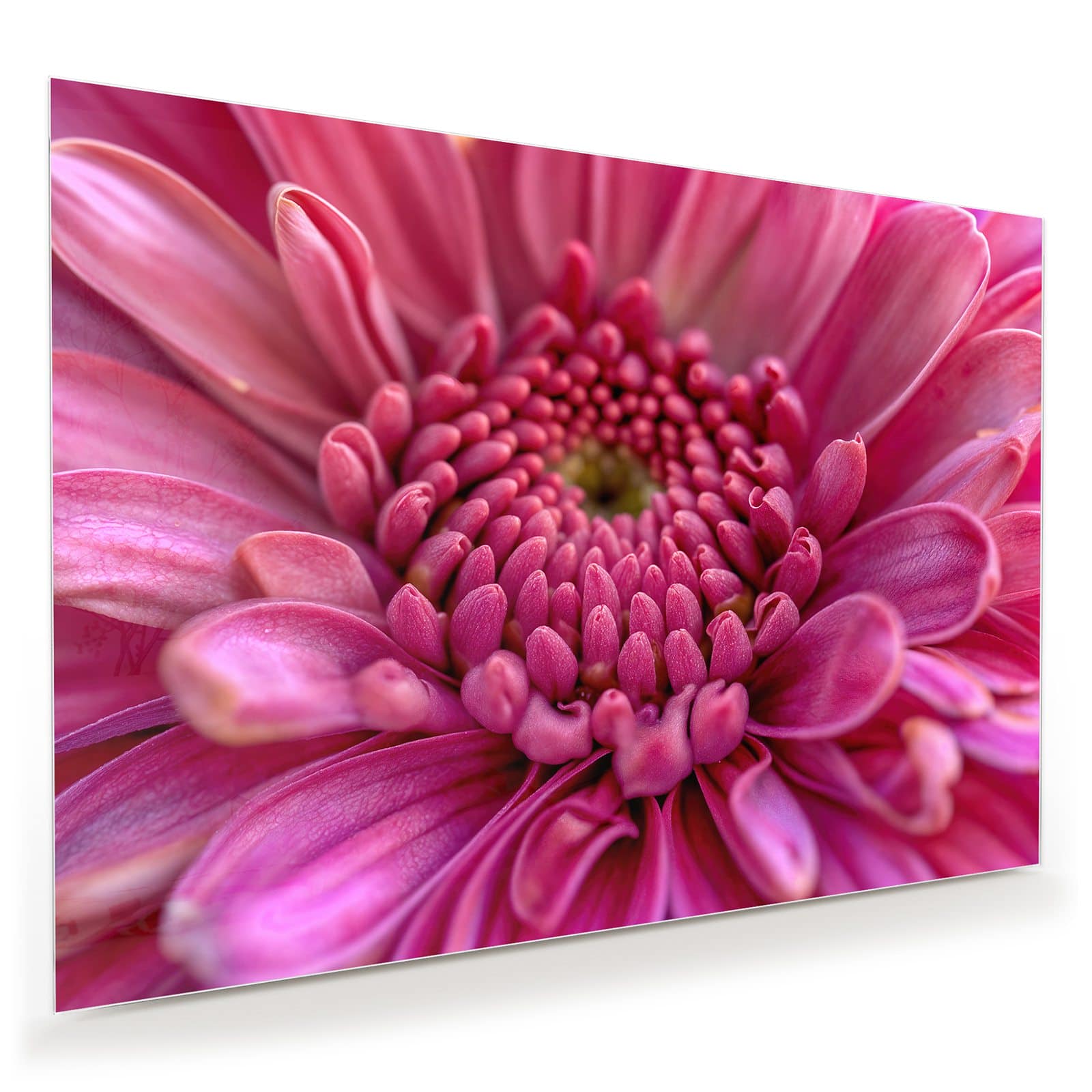 #grösse_100 x 70 cm