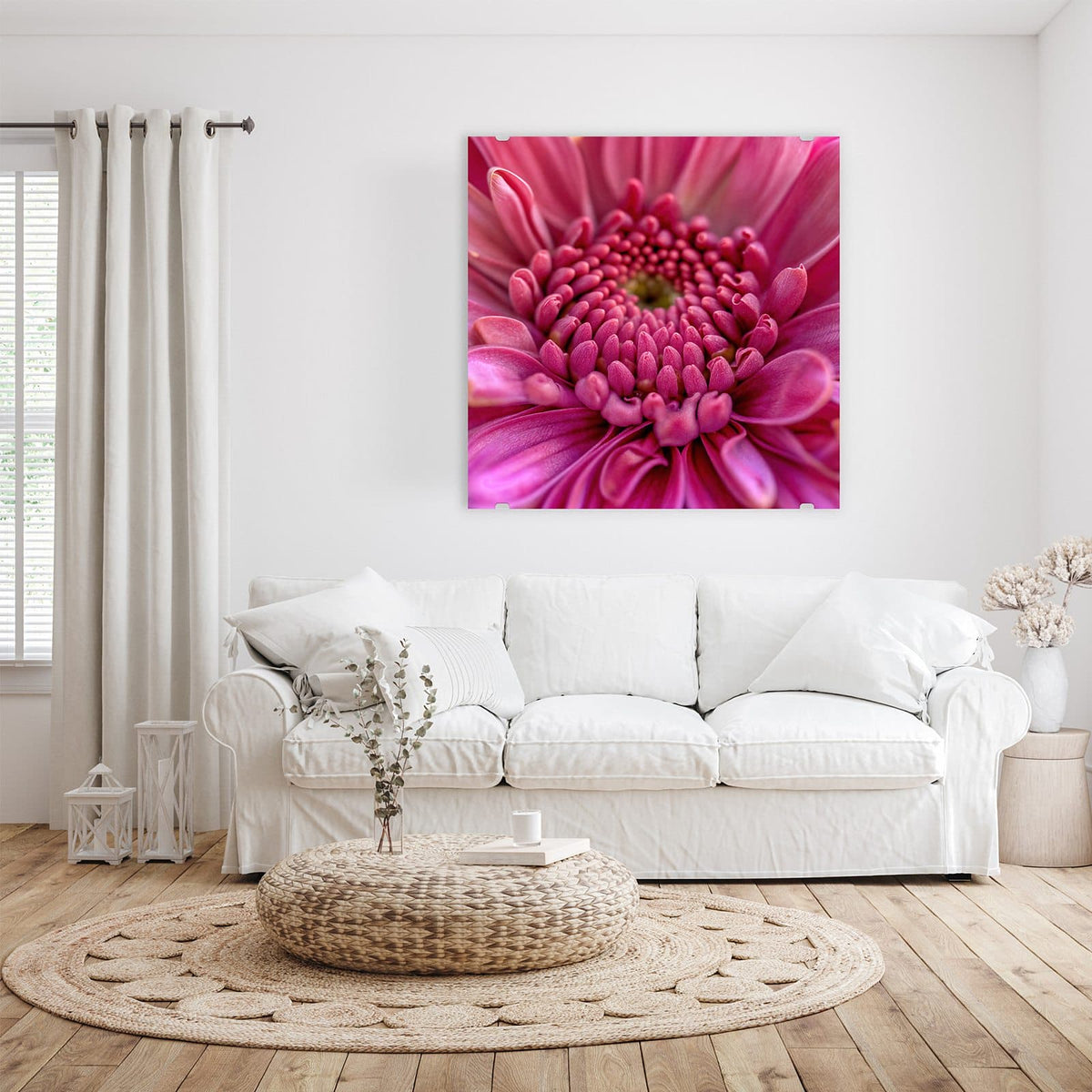 Glasbild Pinke Blütenspirale an der Wand – Makro einer pinken Blüte, deren Knospenzentrum sich spiralig anordnet.