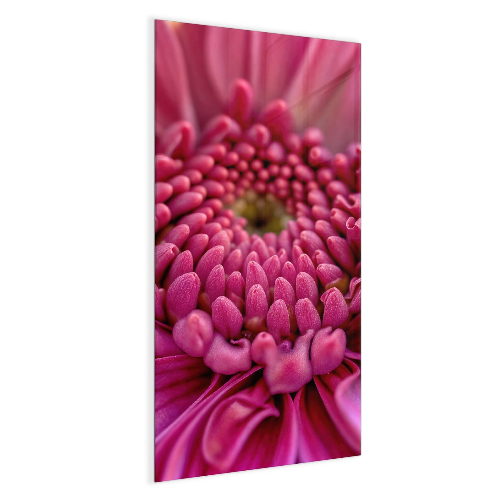 #grösse_50 x 100 cm