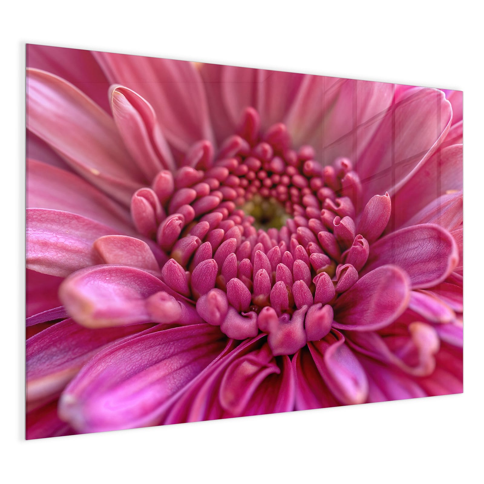 #grösse_120 x 90 cm