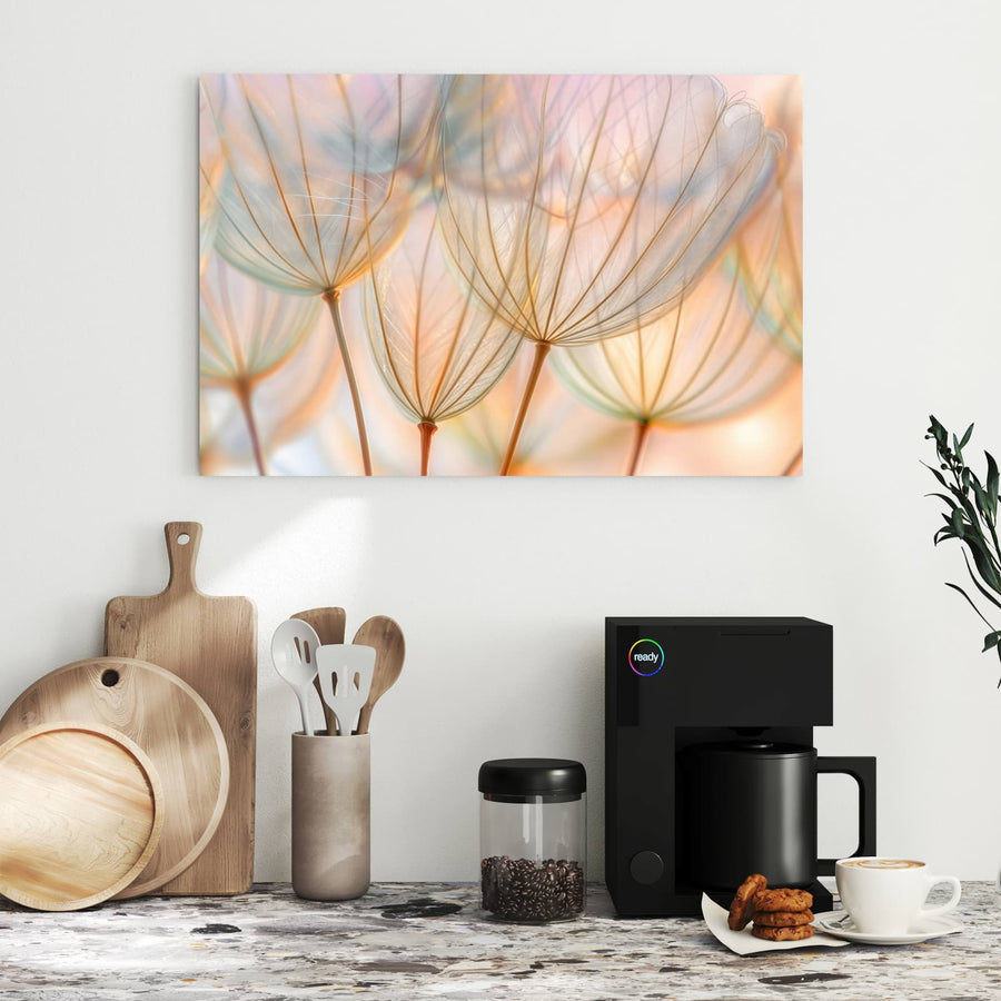 Maße Metall Magnettafel - Pusteblume in Pastell