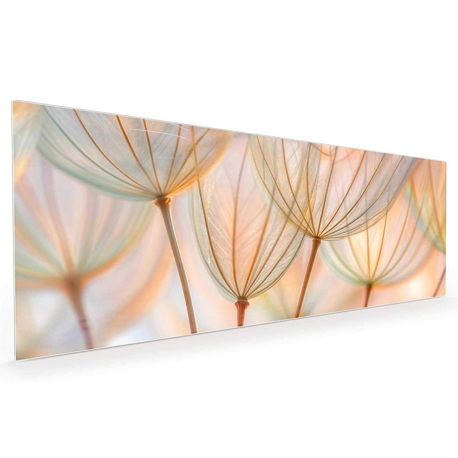 #60 x 150 cm_