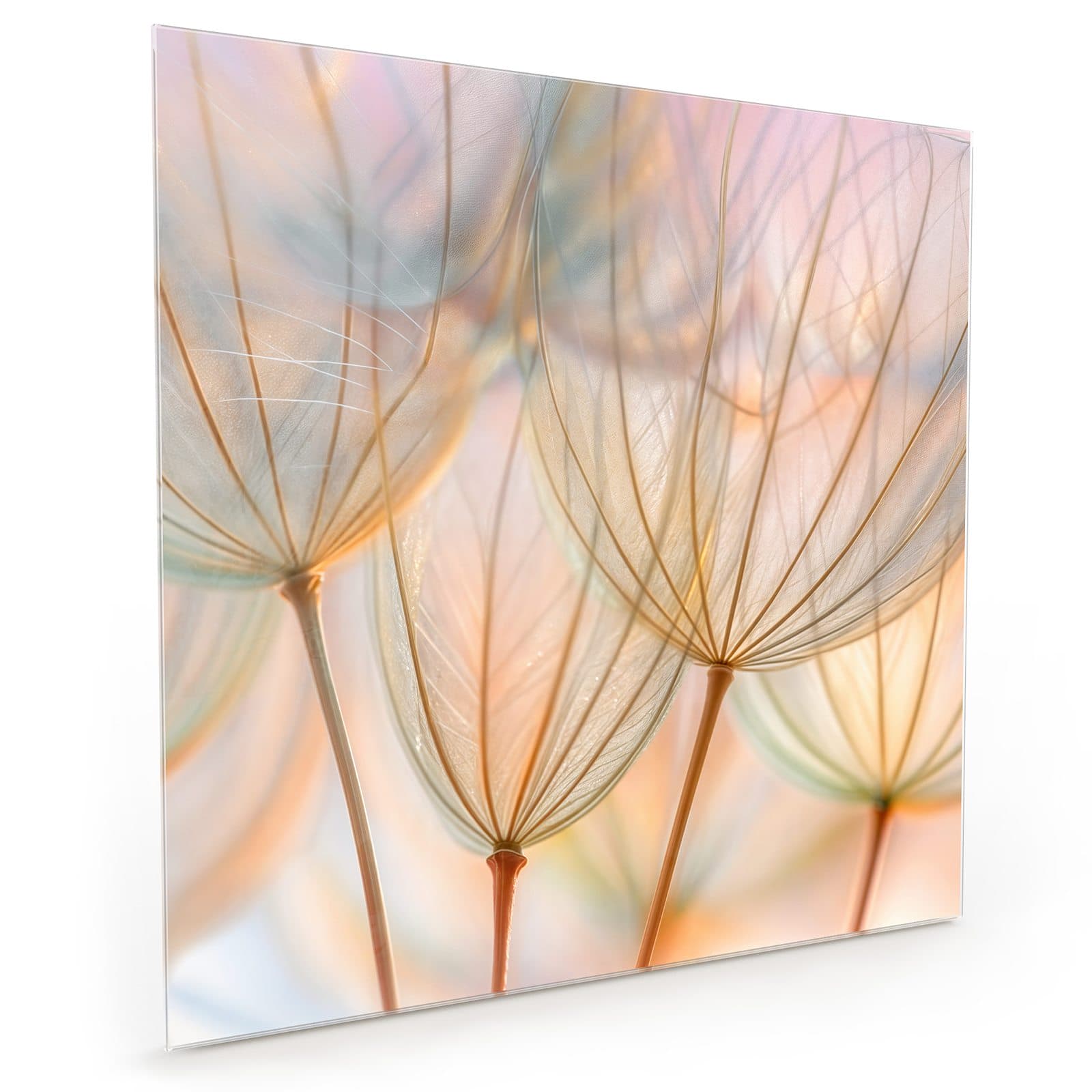 #70 x 70 cm_