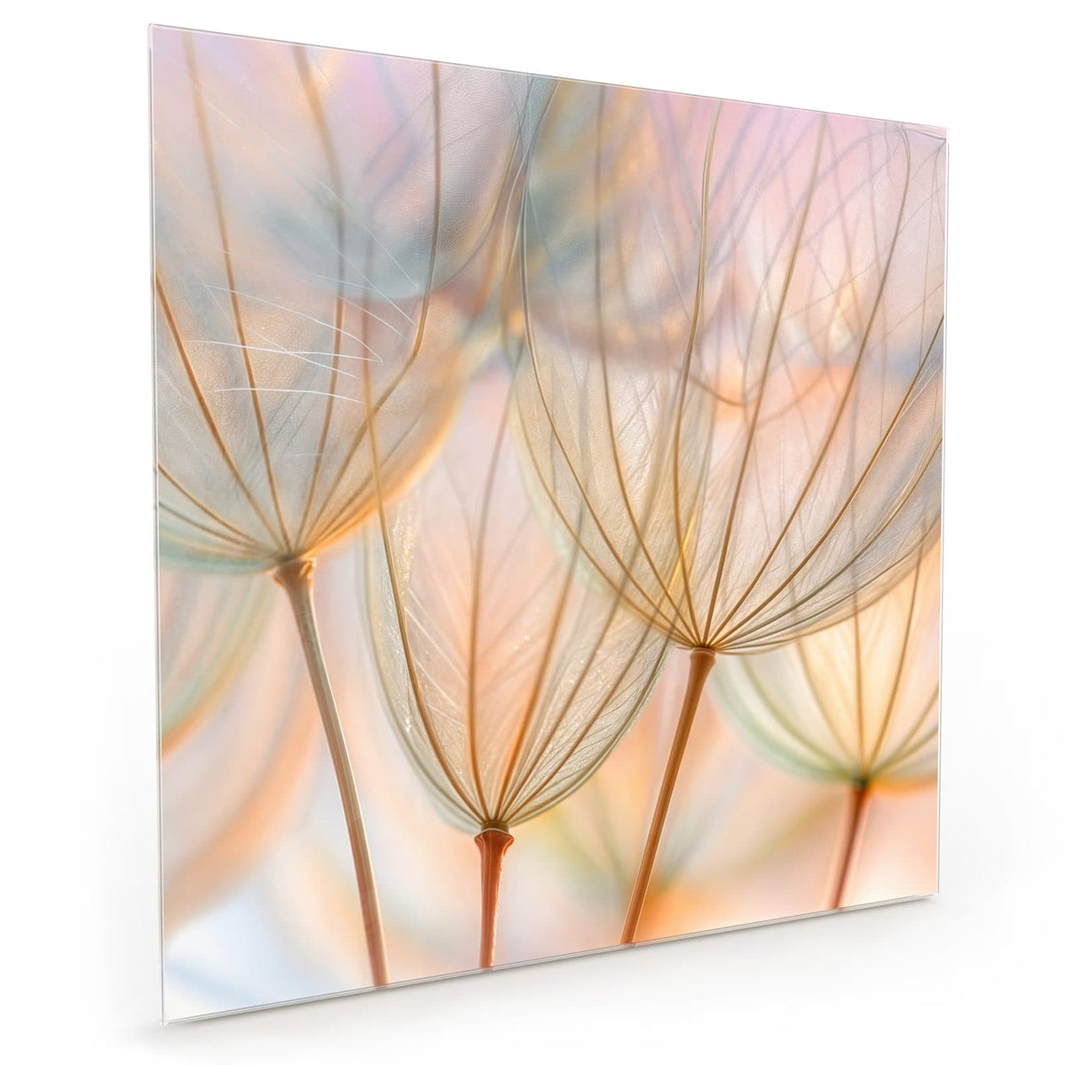#grösse_40 x 40 cm #grösse_50 x 50 cm #grösse_60 x 60 cm