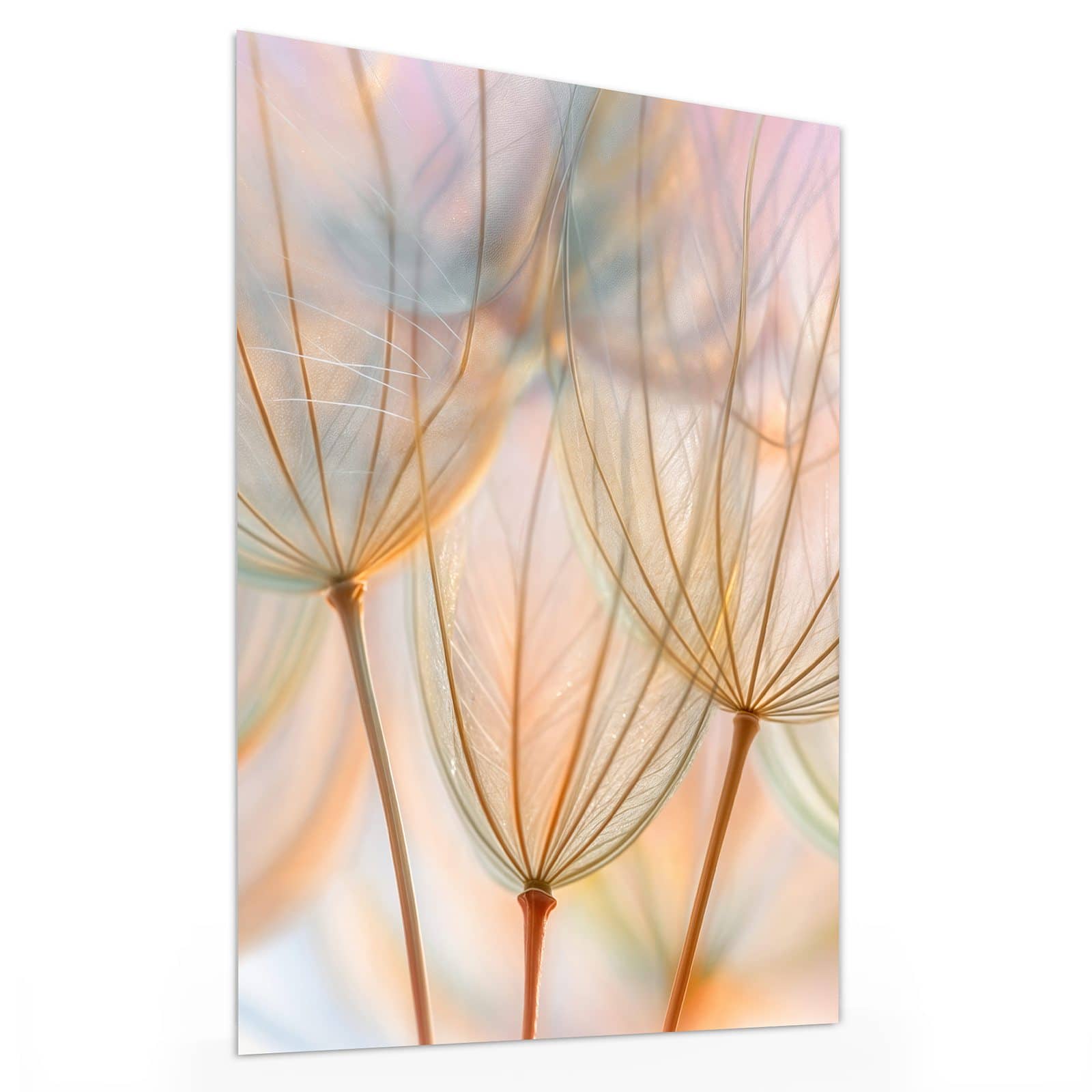 #grösse_30 x 40 cm #grösse_60 x 80 cm #grösse_75 x 100 cm