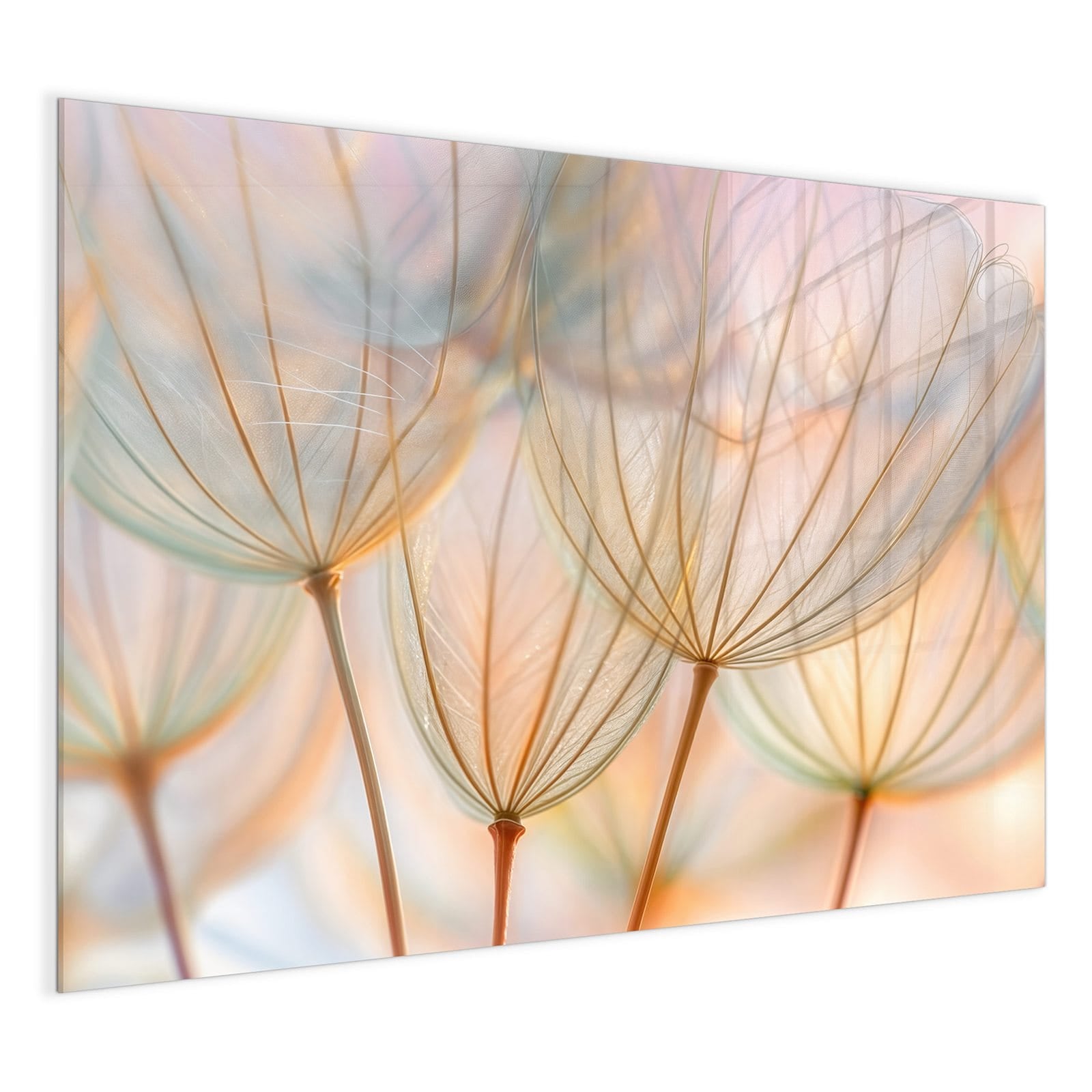 #grösse_120 x 90 cm