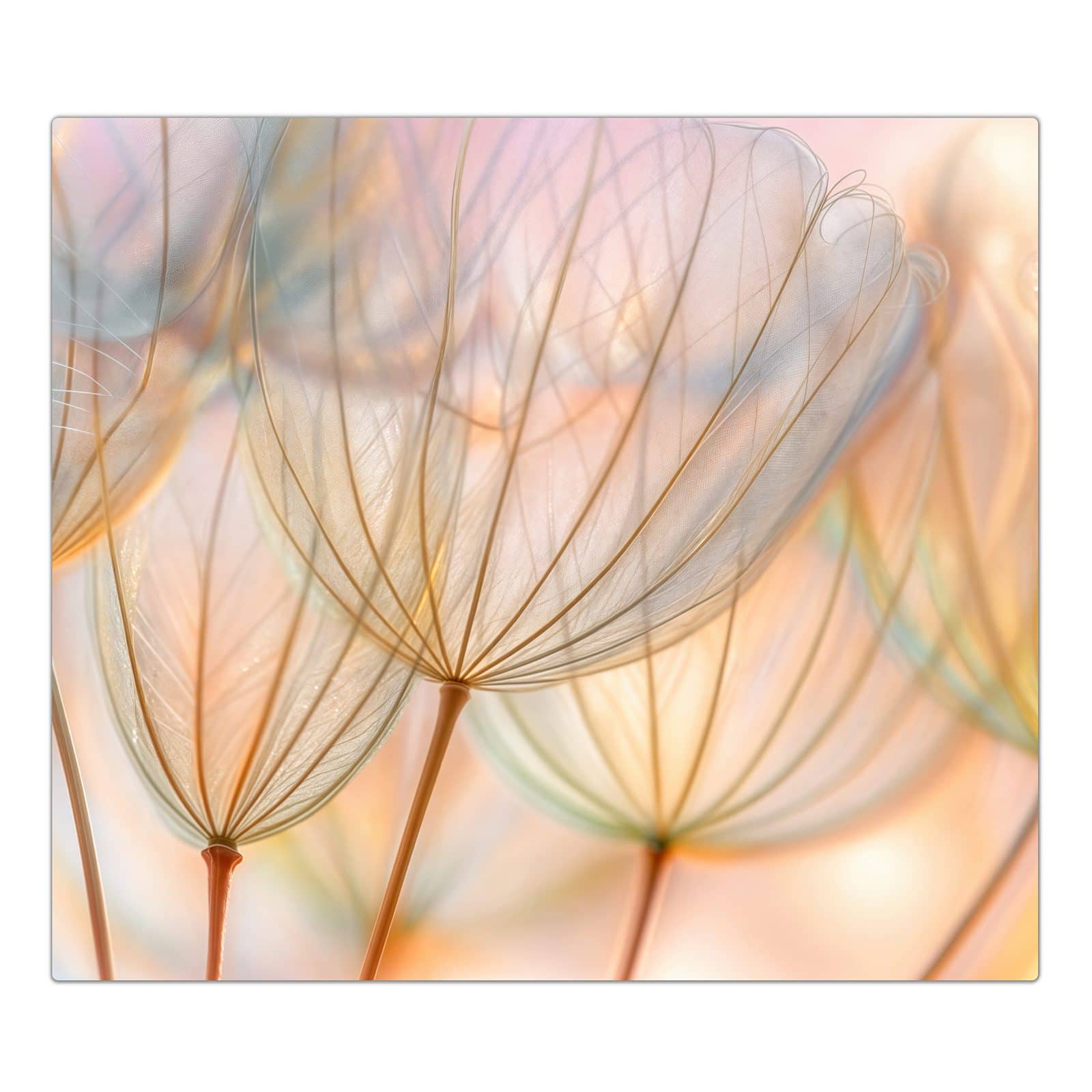 #grösse_1-teilig (60x52cm)