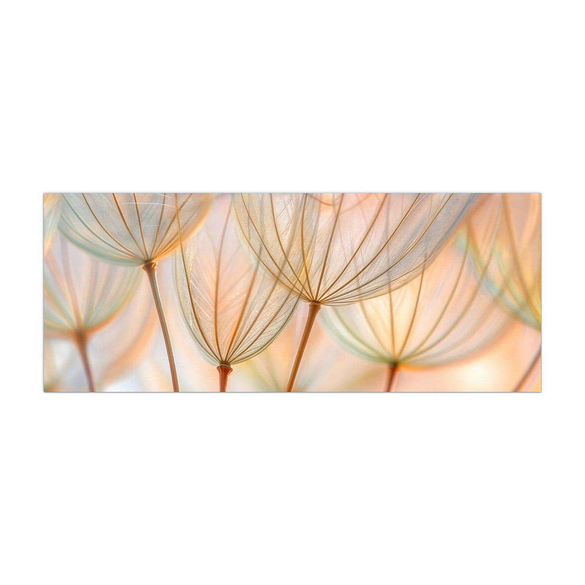 Küchenrückwand aus Glas Pusteblume in Pastell im Hochformat, Motiv bildfüllend von vorn