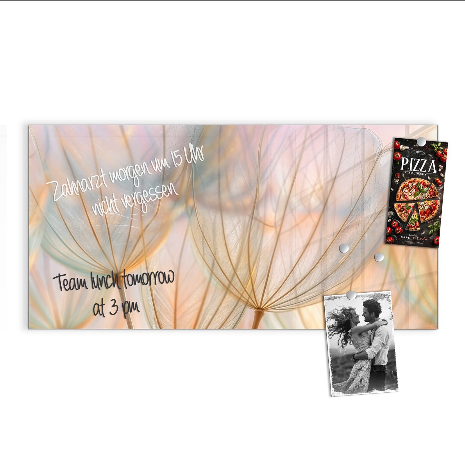 #grösse_100 x 50 cm