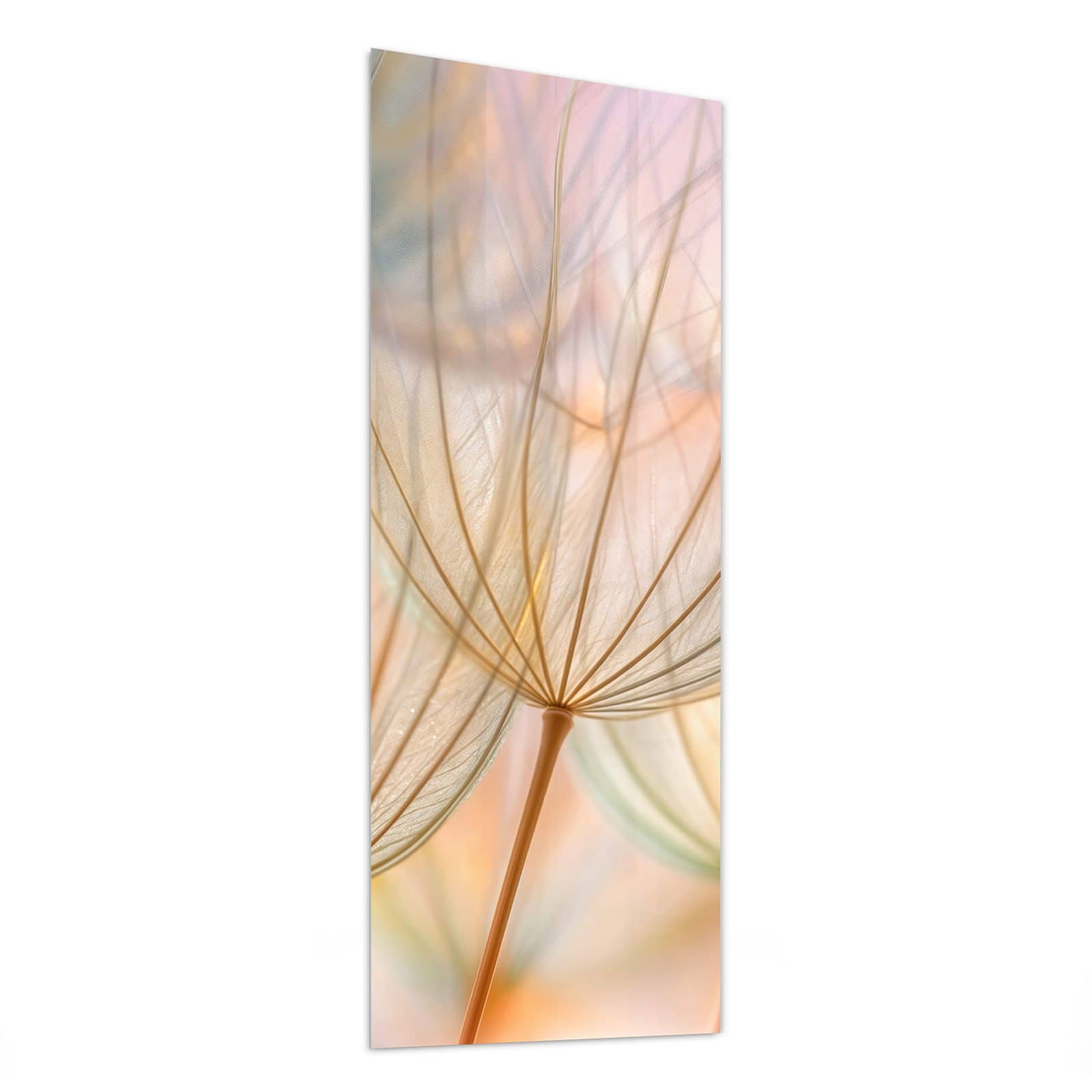 #grösse_50 x 125 cm #grösse_40 x 100 cm #grösse_60 x 150 cm