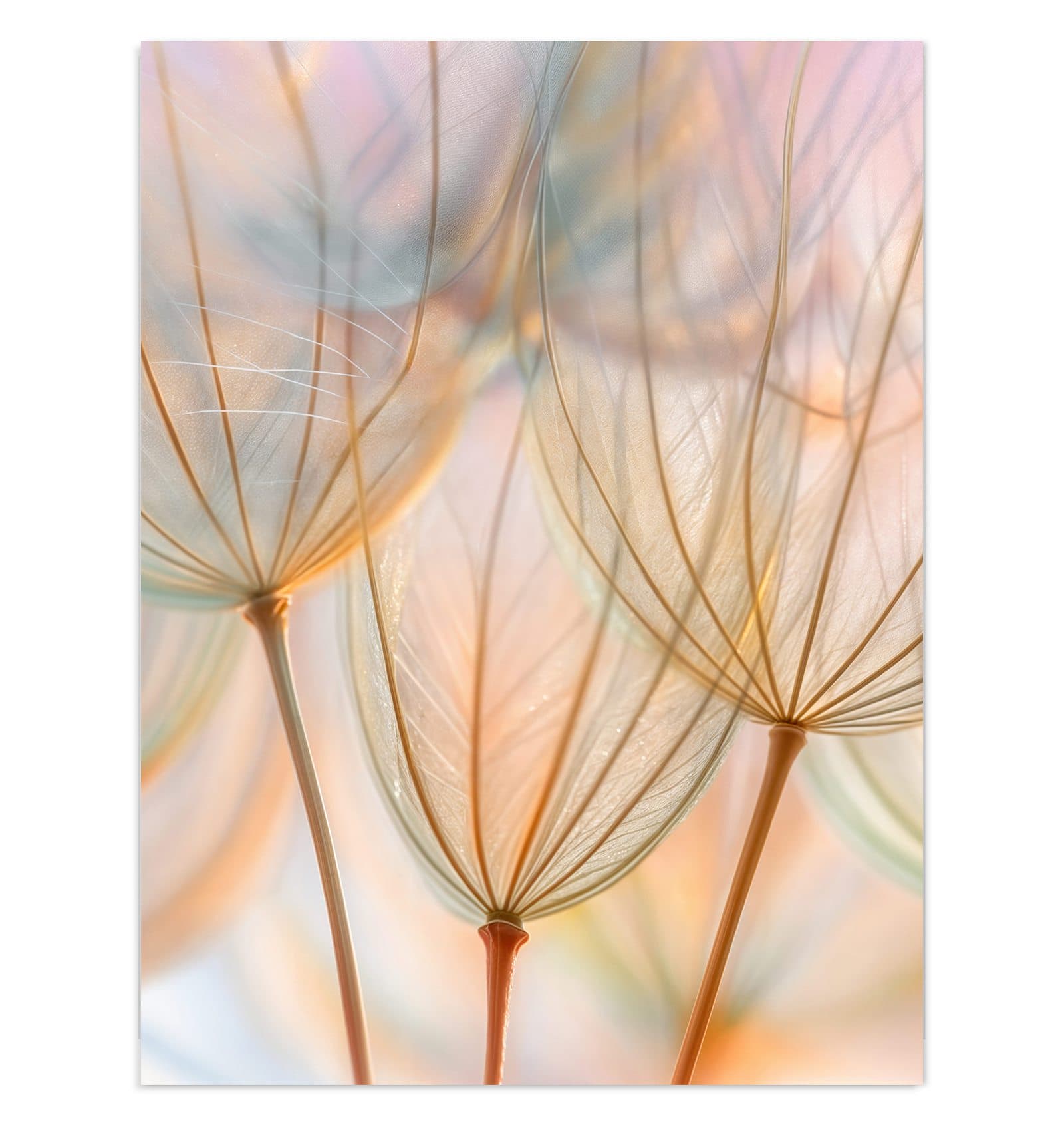 #grösse_30 x 40 cm #grösse_60 x 80 cm #grösse_75 x 100 cm