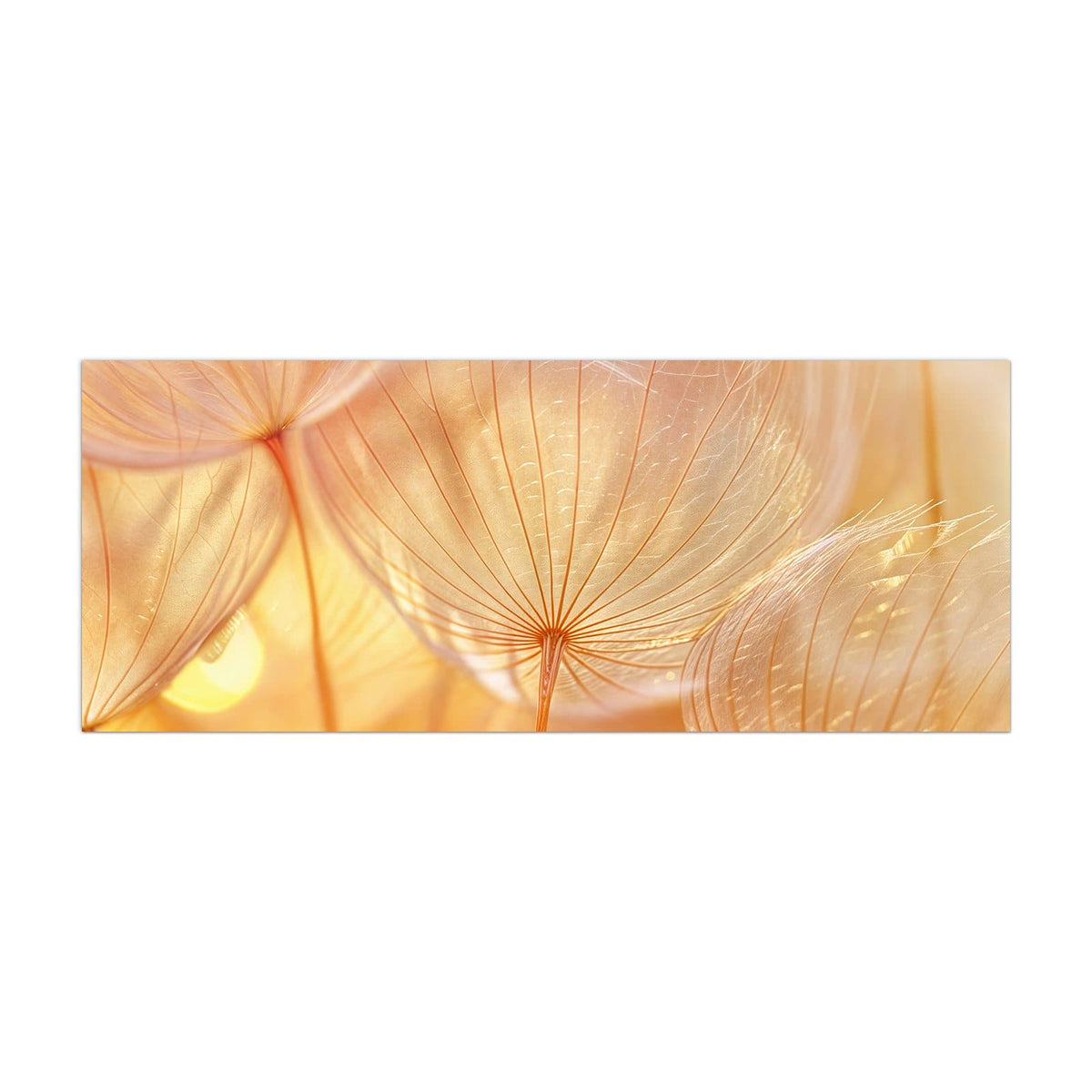 Küchenrückwand aus Glas Pusteblume im Goldlicht im Hochformat, Motiv bildfüllend von vorn