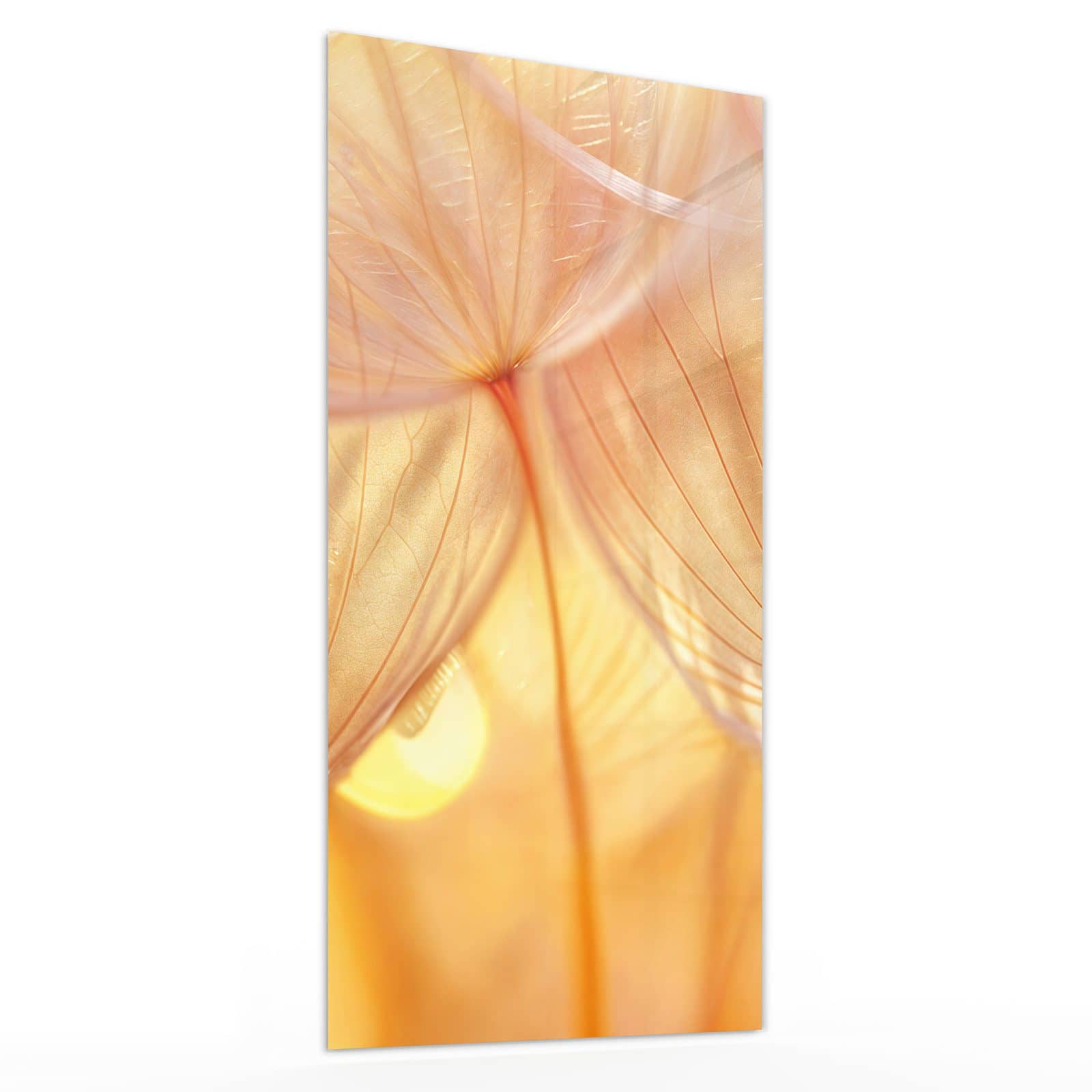 #grösse_30 x 60 cm #grösse_40 x 80 cm #grösse_50 x 100 cm #grösse_55 x 110 cm #grösse_60 x 120 cm