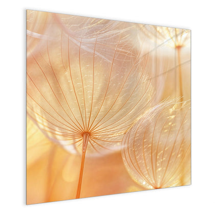 Magnettafel mit dem Motiv Pusteblume im Goldlicht