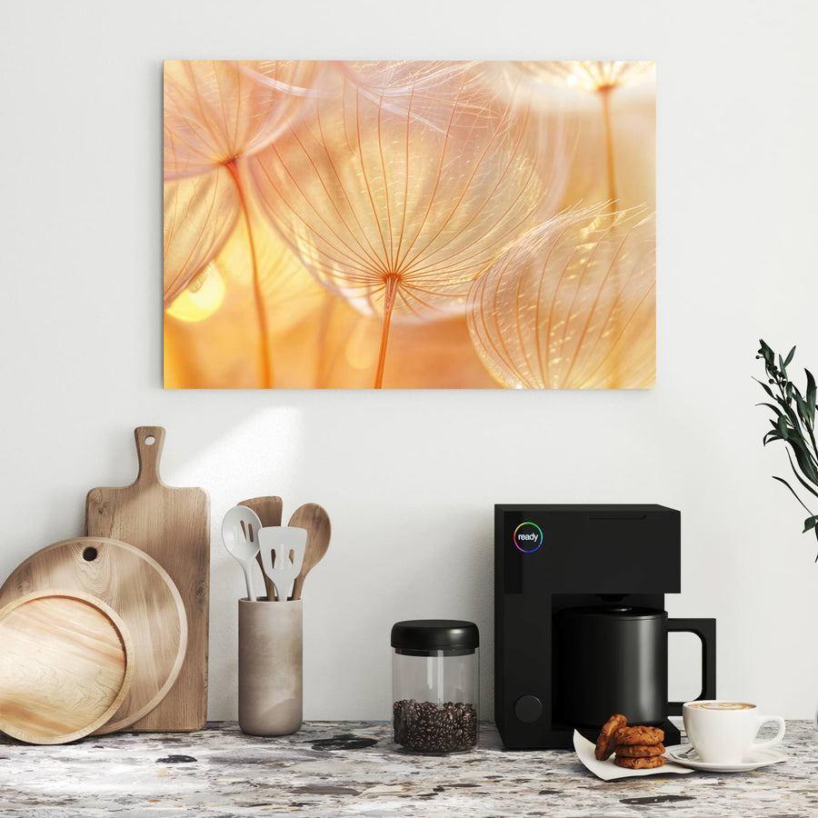 Maße Metall Magnettafel - Pusteblume im Goldlicht