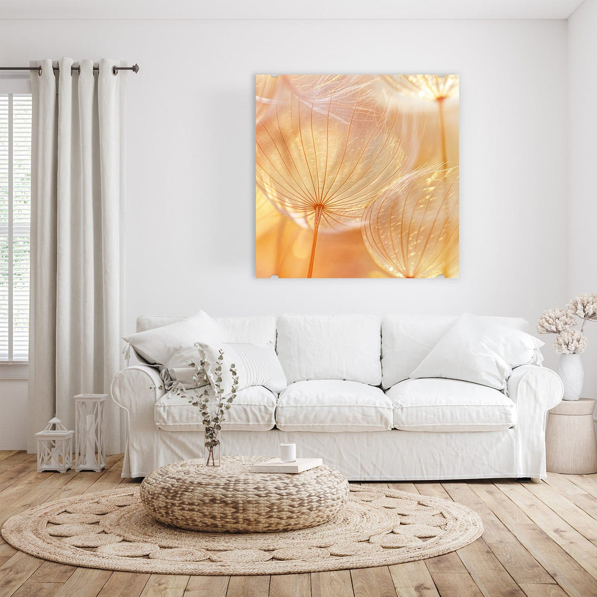 Glasbild Pusteblume im Goldlicht an der Wand – Makro von Löwenzahn-Samenschirmen im warmen goldenen Gegenlicht.