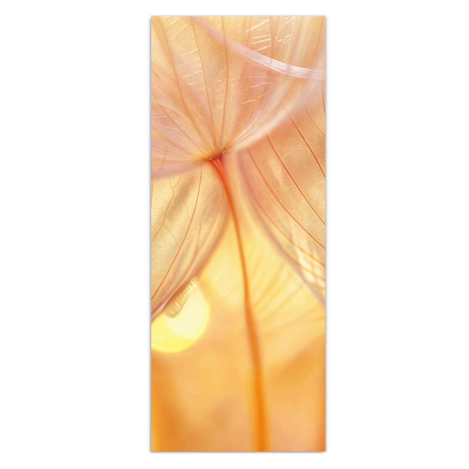 #grösse_50 x 125 cm #grösse_40 x 100 cm #grösse_60 x 150 cm