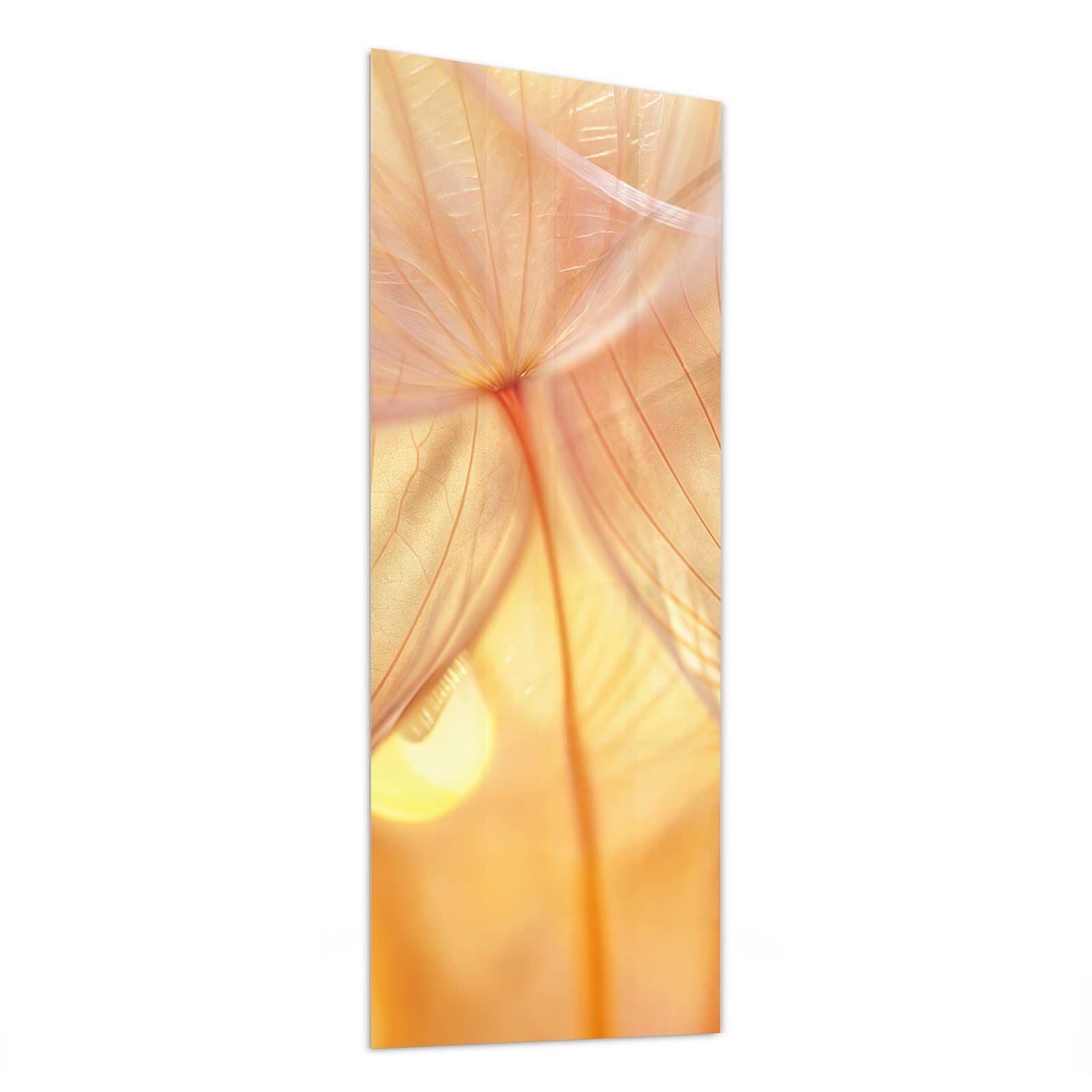 #grösse_50 x 125 cm #grösse_40 x 100 cm #grösse_60 x 150 cm