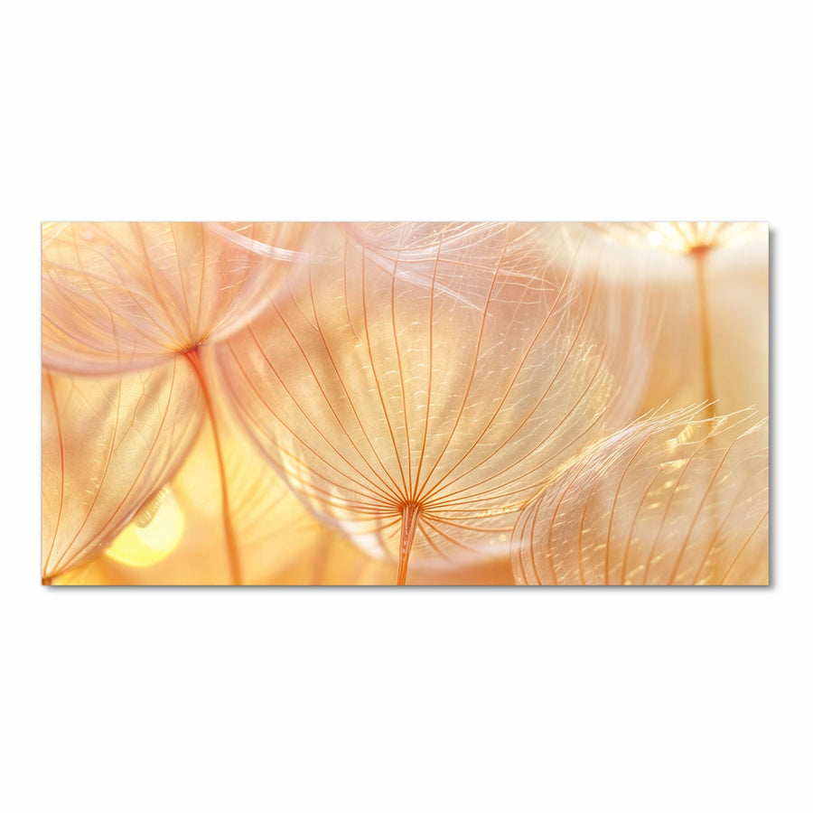 Maße Küchenläufer - Pusteblume im Goldlicht