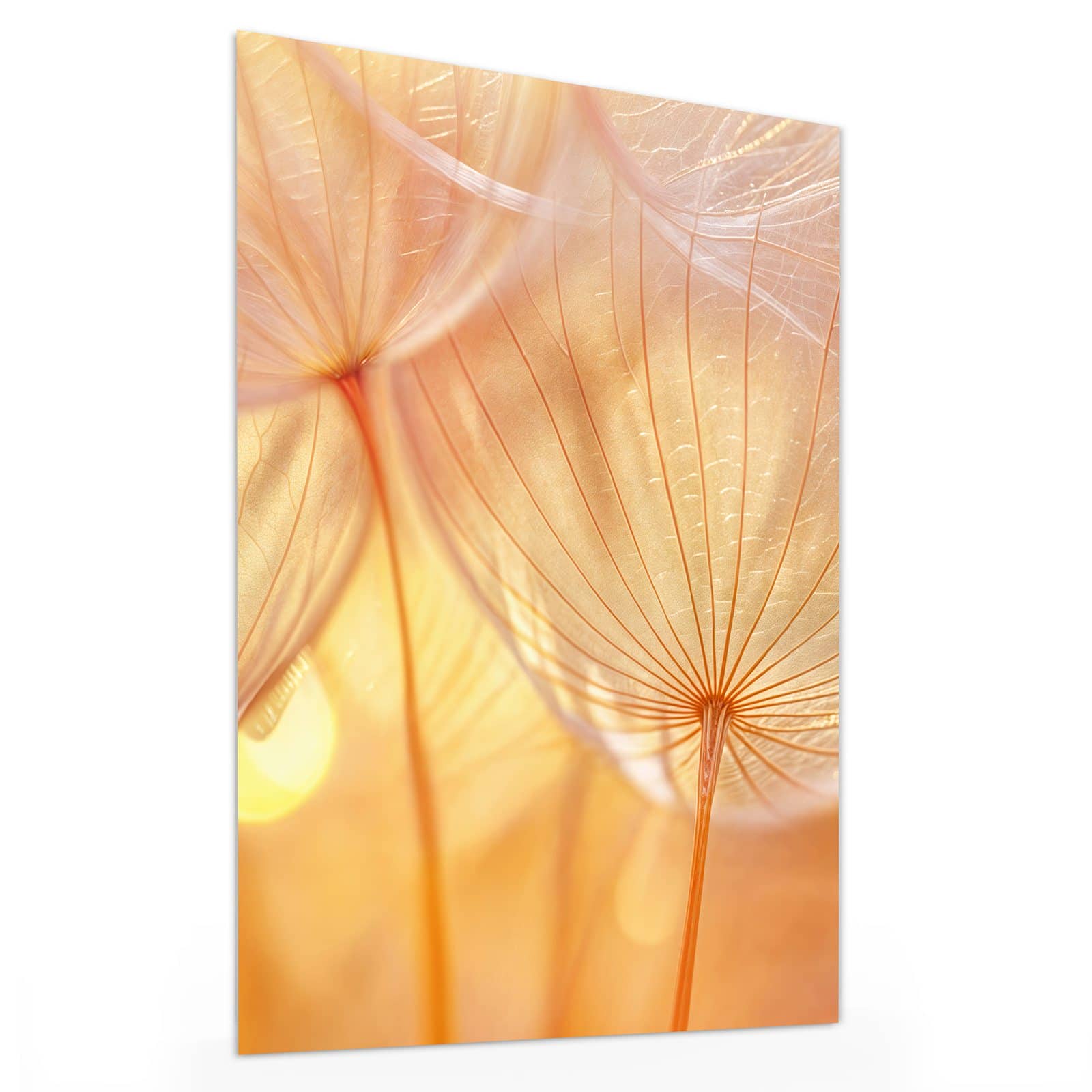 #grösse_30 x 40 cm #grösse_60 x 80 cm #grösse_75 x 100 cm