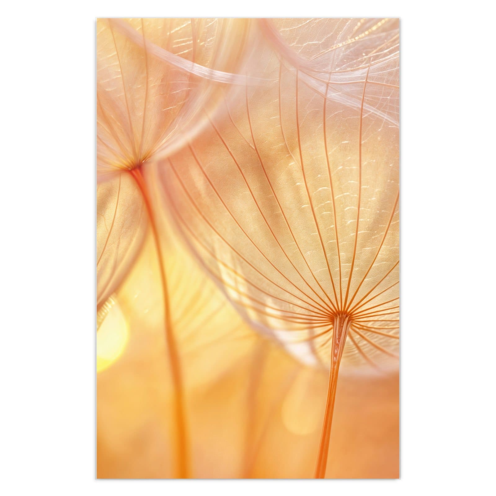 #grösse_40 x 60 cm #grösse_50 x 75 cm #grösse_60 x 90 cm