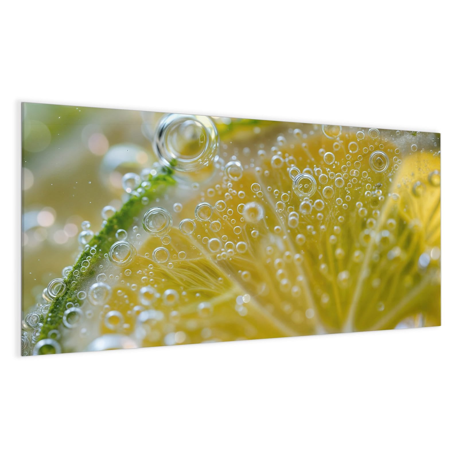 #grösse_100 x 50 cm