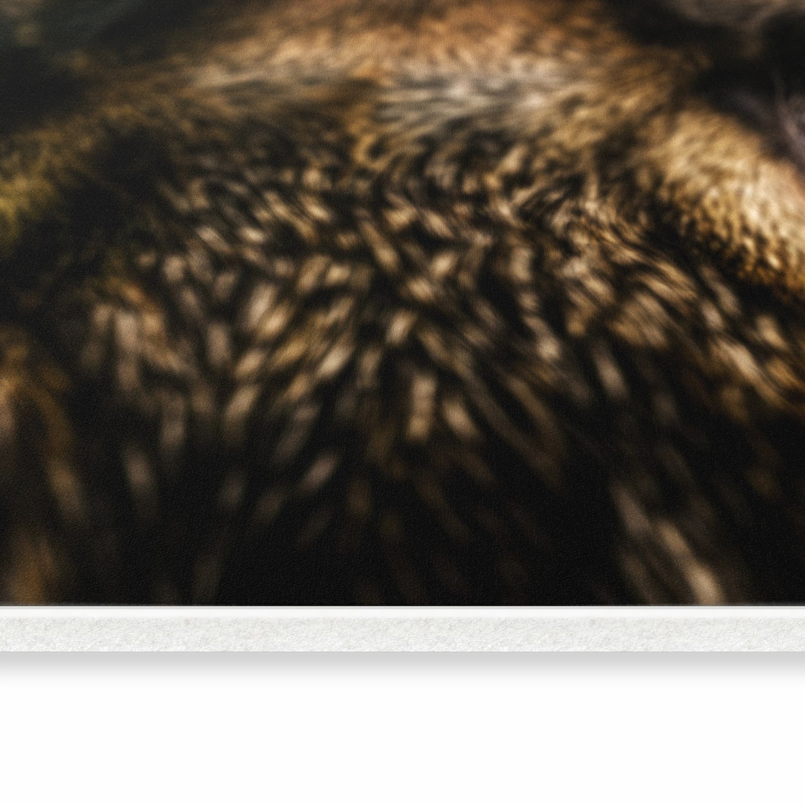 Geräuschdämpfender Teppichläufer mit Motiv Katzenaugencloseup in seitlicher Ansicht